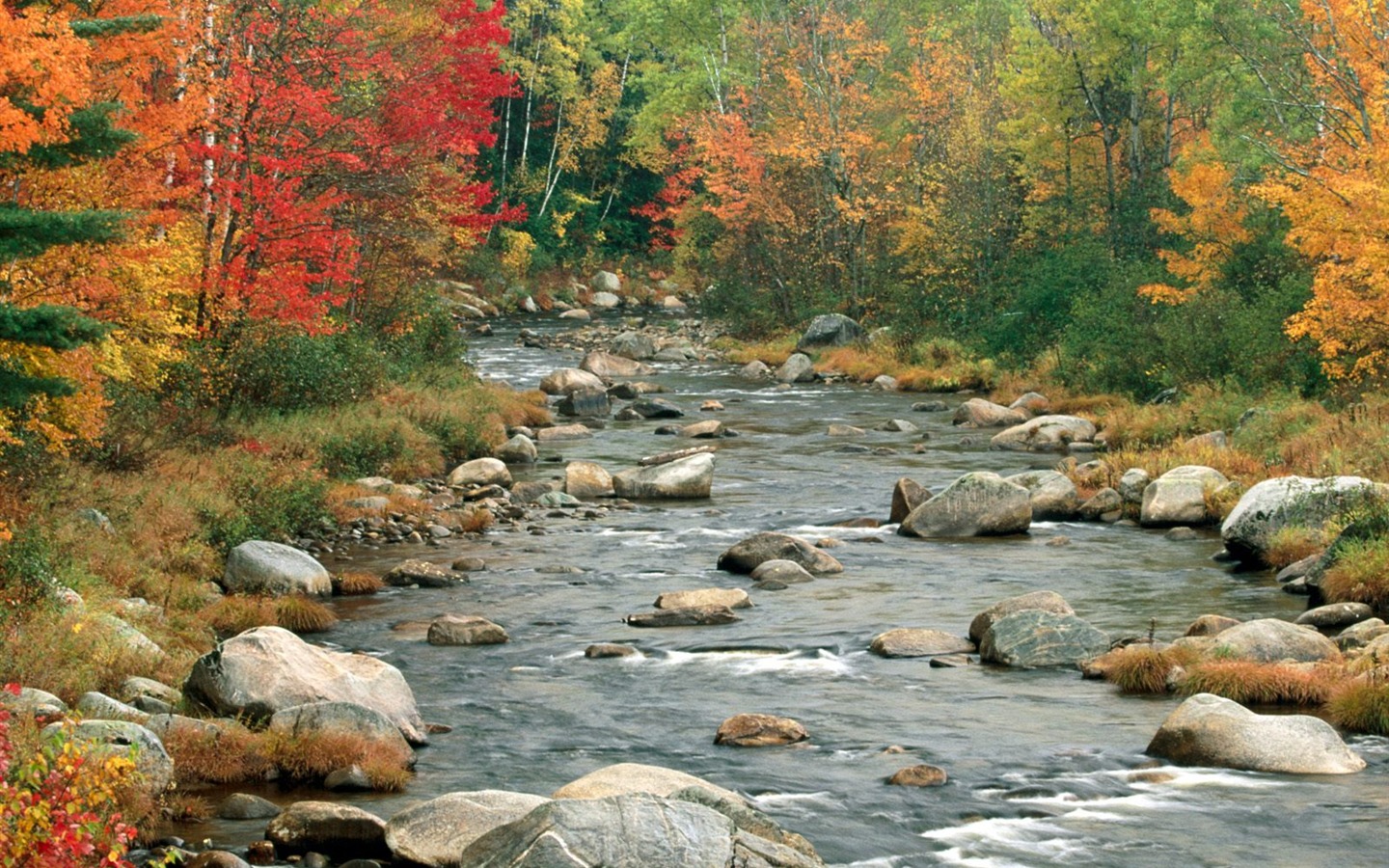 Herbstlandschaft schöne Tapete #15 - 1440x900