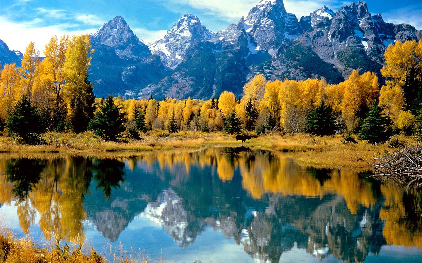 Podzimní krajina krásná tapeta #19 - 1440x900