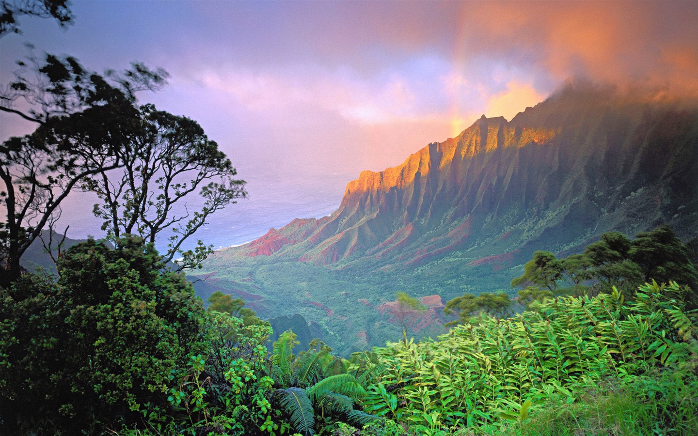 Windows7 官方主題壁紙 #19 - 1440x900