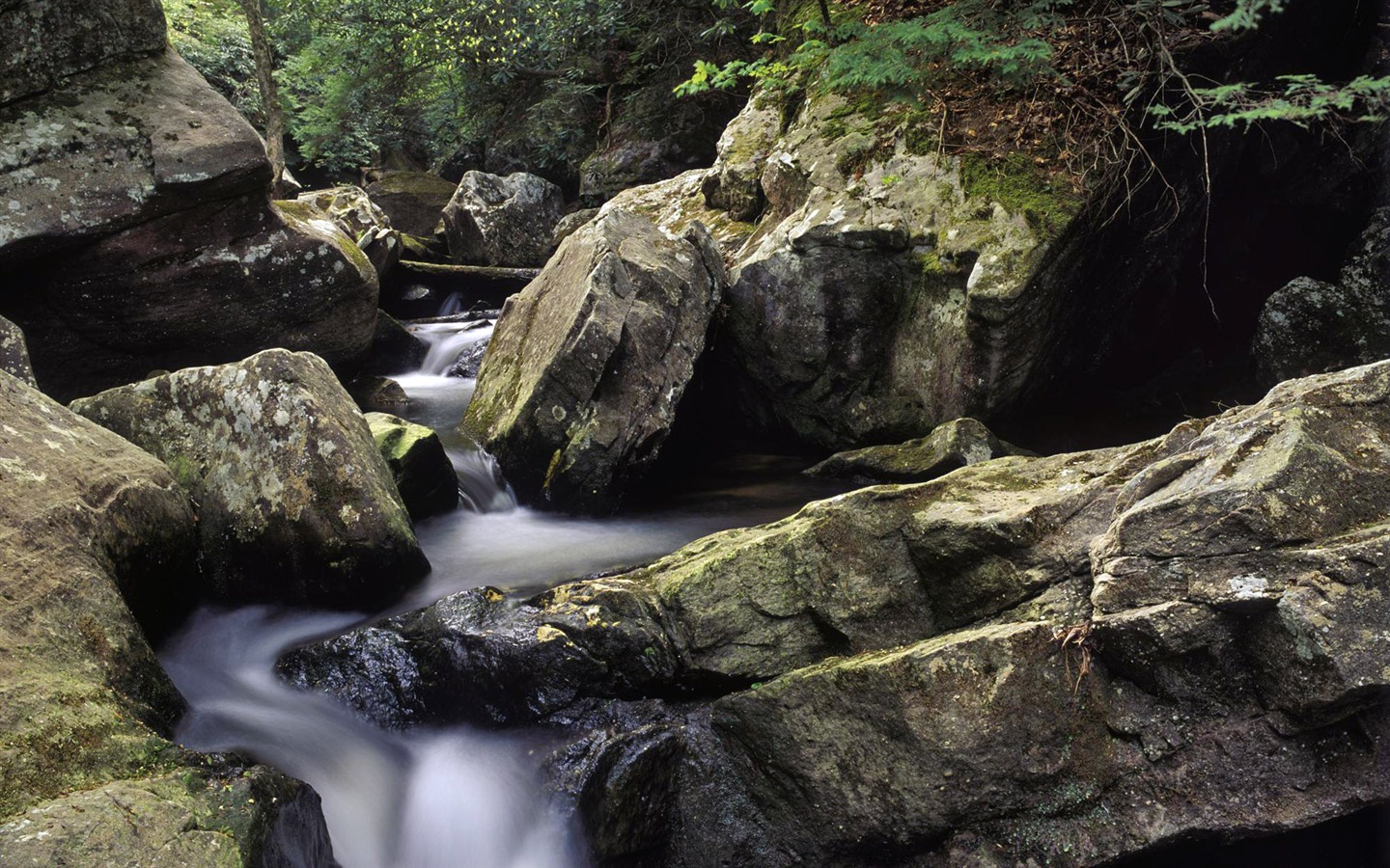 Water streams HD Wallpapers #6 - 1440x900