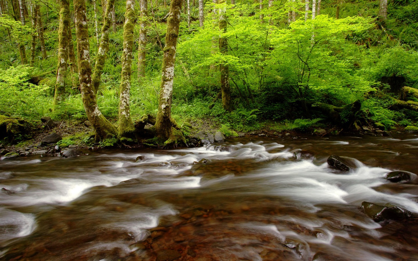 Water streams HD Wallpapers #8 - 1440x900