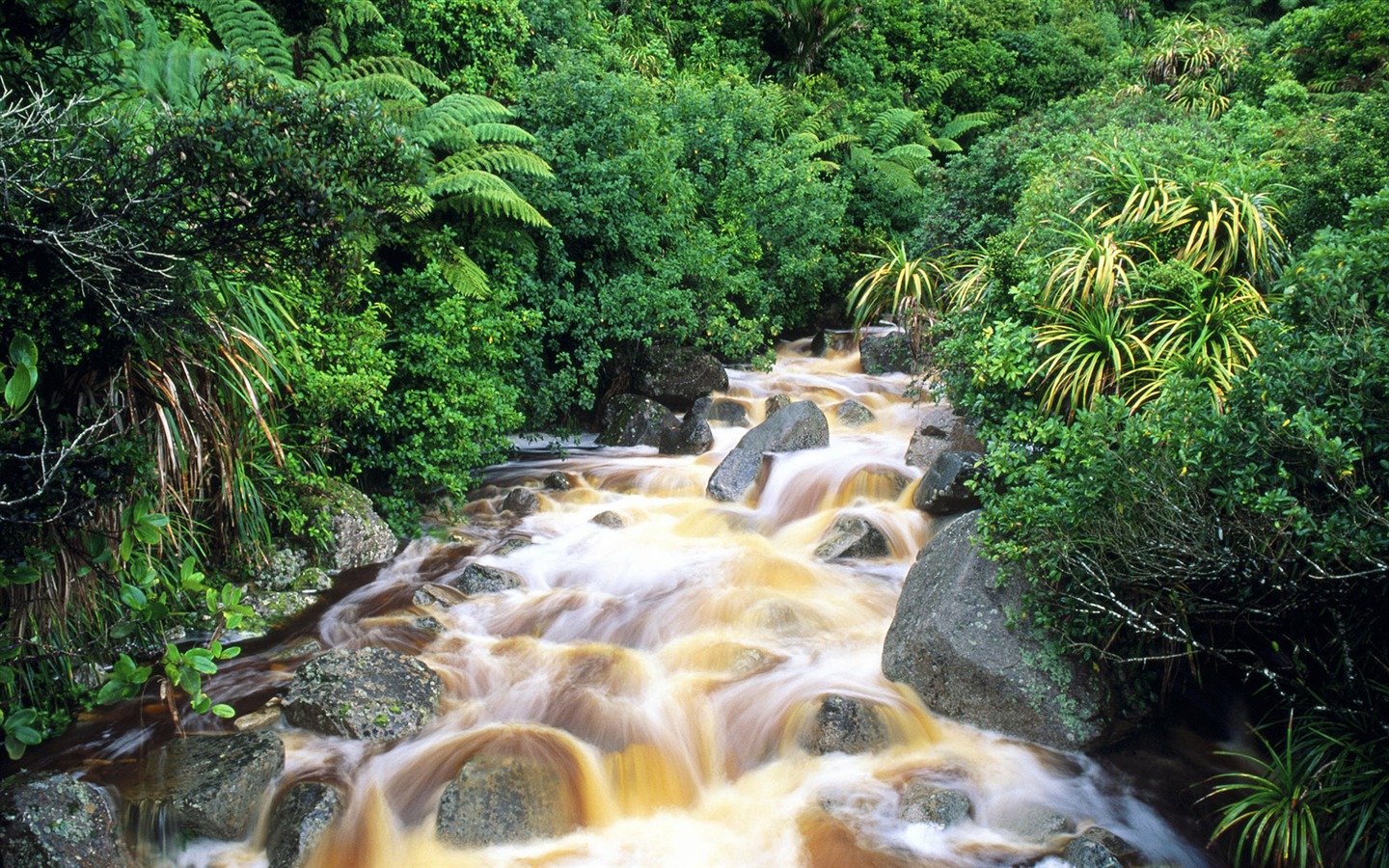 Water streams HD Wallpapers #9 - 1440x900