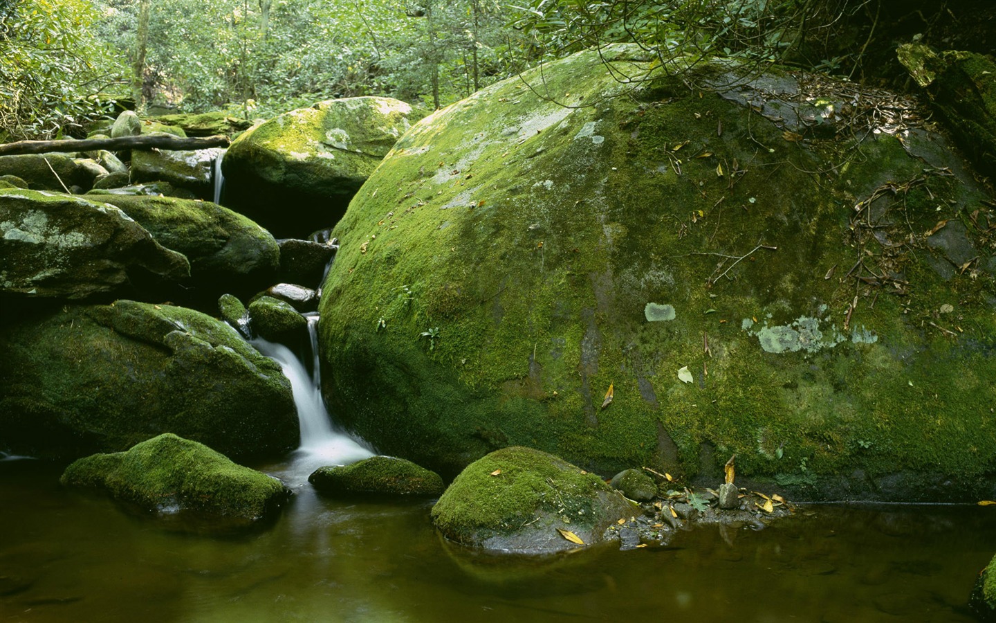 Water streams HD Wallpapers #10 - 1440x900