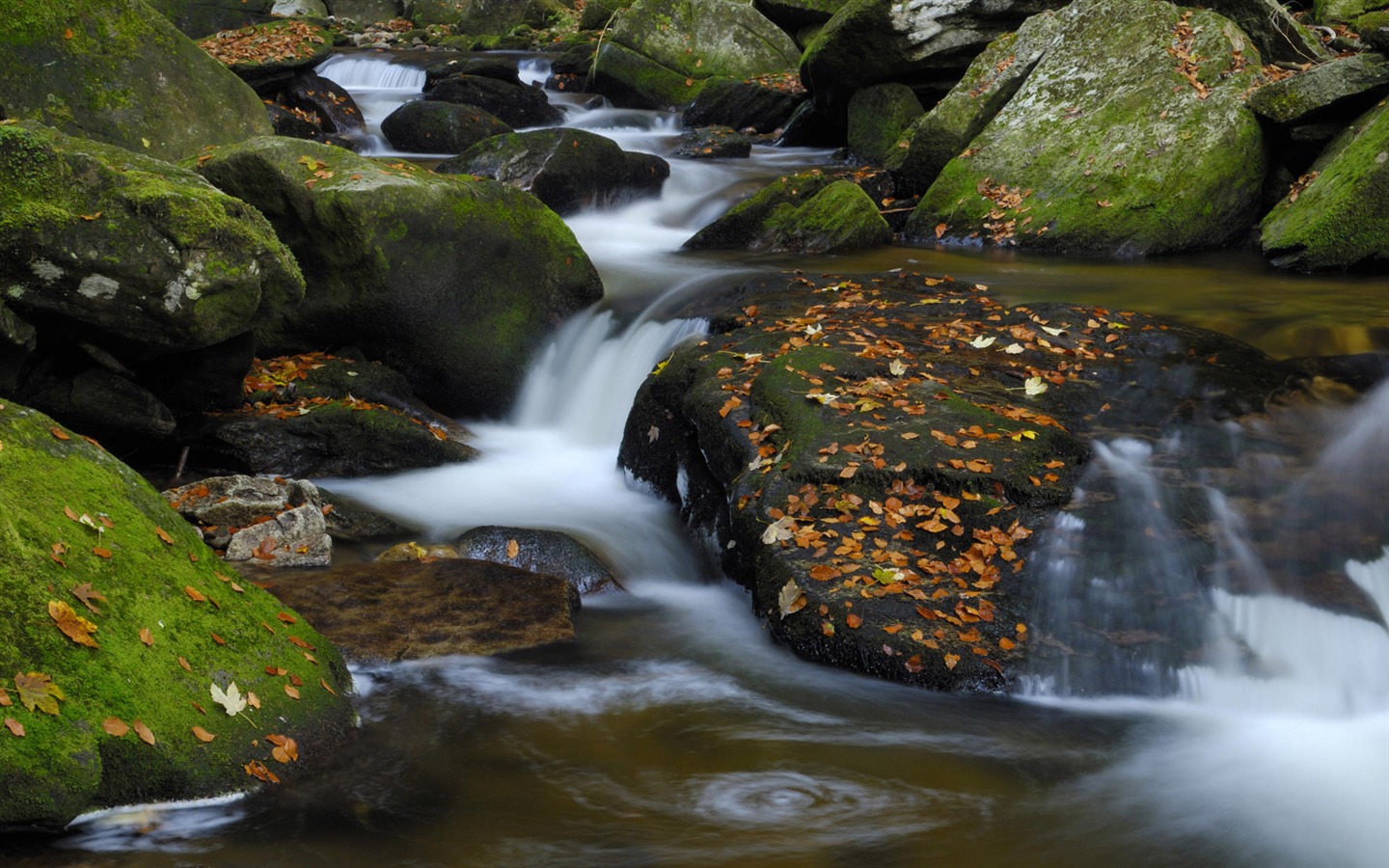 Water streams HD Wallpapers #13 - 1440x900