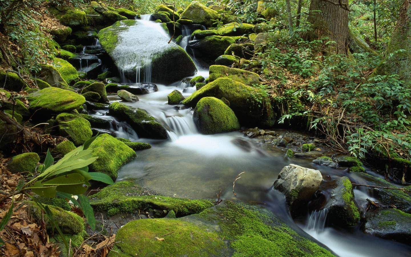 Water streams HD Wallpapers #20 - 1440x900