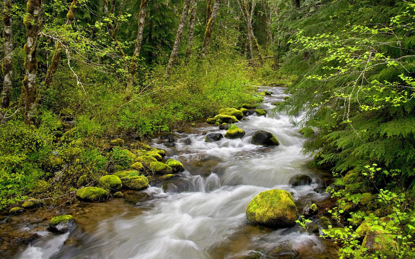 Water streams HD Wallpapers #23 - 1440x900