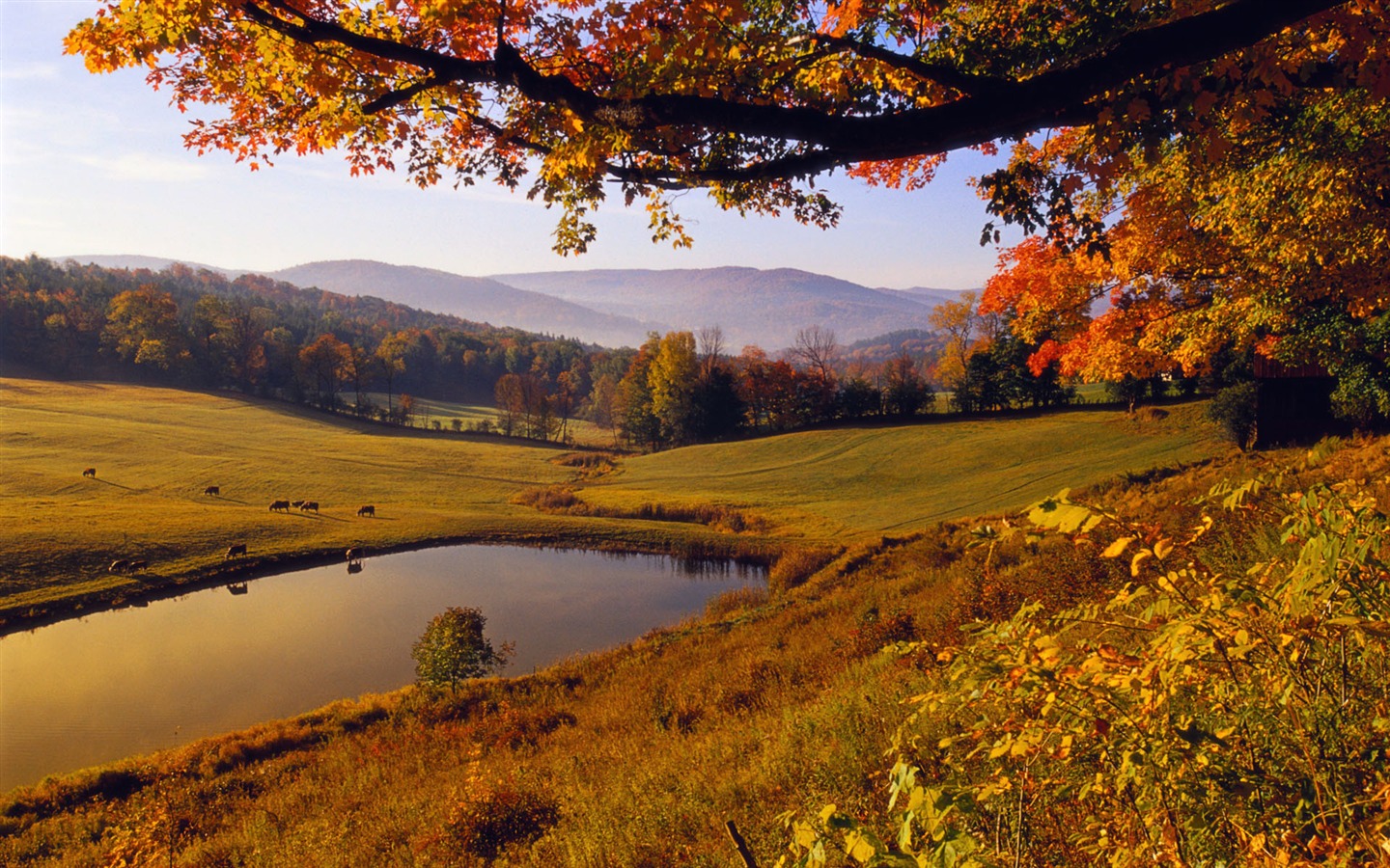  Windows7の公式風景の壁紙 #6 - 1440x900