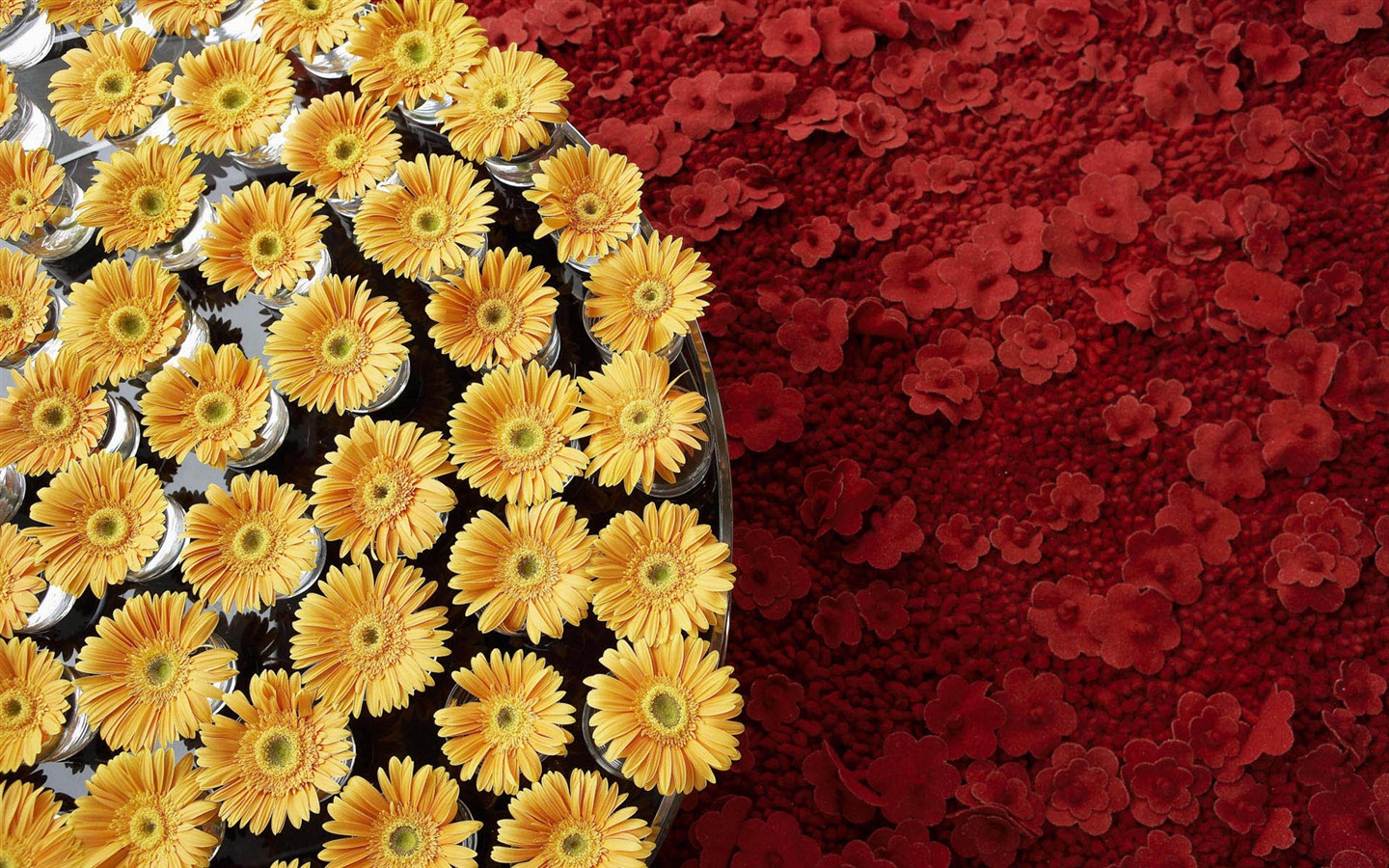 fleurs fond d'écran Widescreen close-up #21 - 1440x900