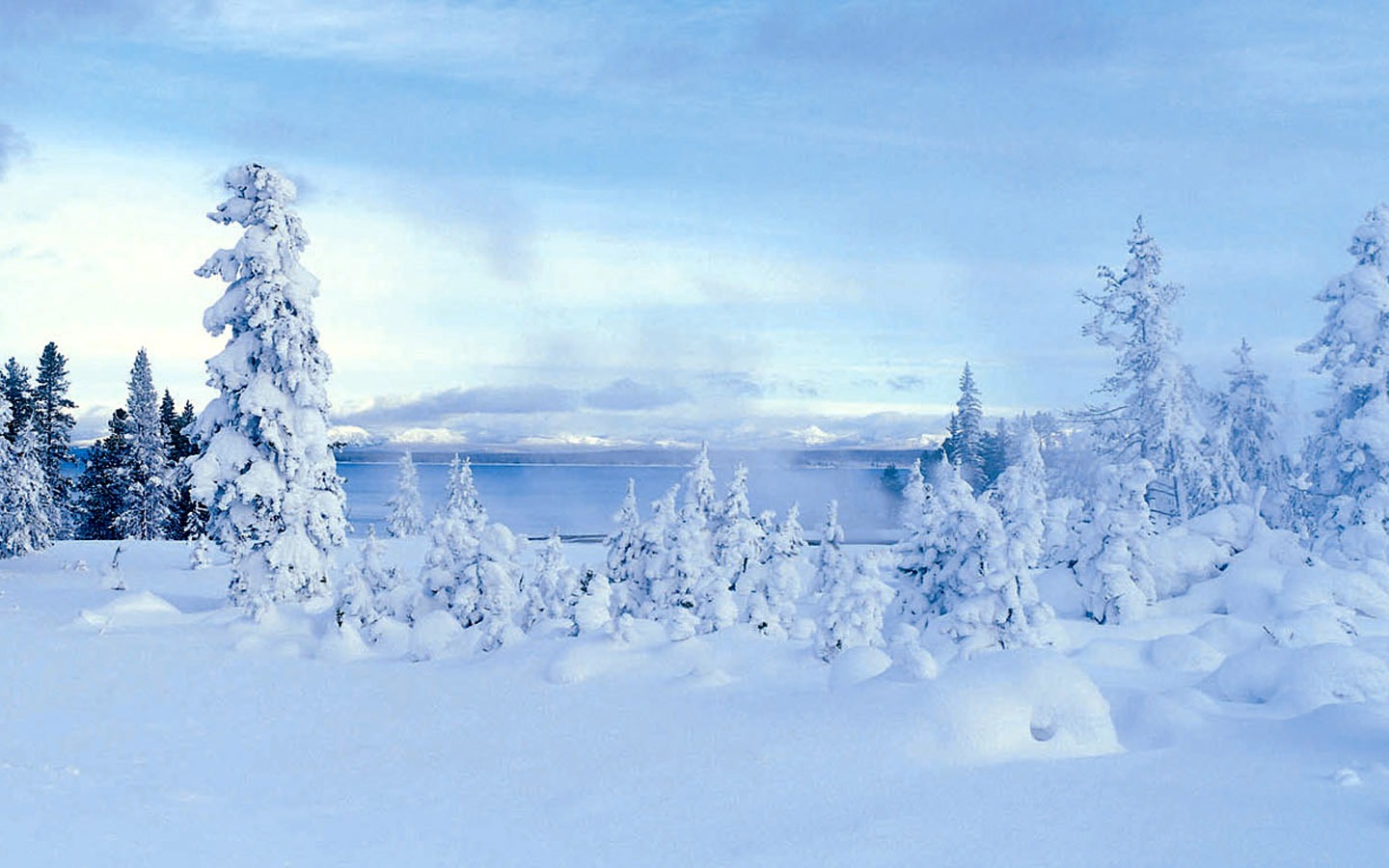 fondos de escritorio de alta definición de invierno la nieve fresca escena #33 - 1440x900
