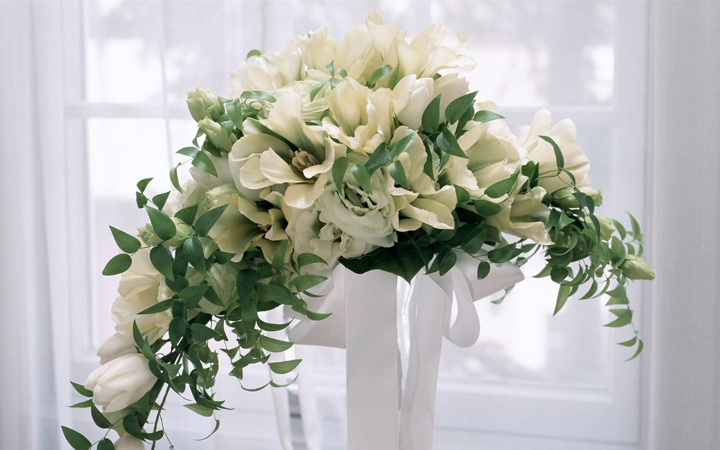 Blancanieves flores papel tapiz #6 - 1440x900