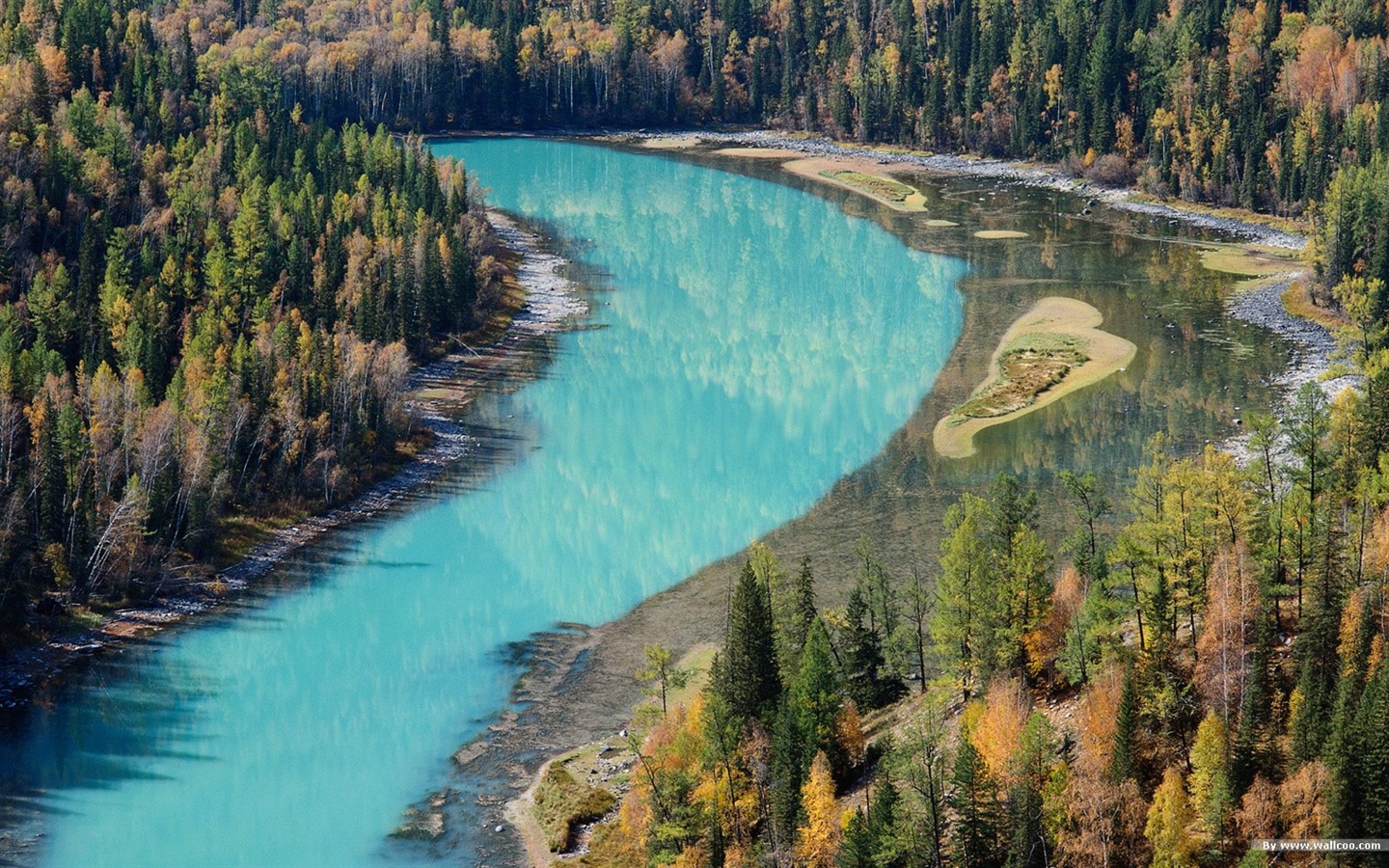 El fondo de pantalla bosque del otoño #42 - 1440x900