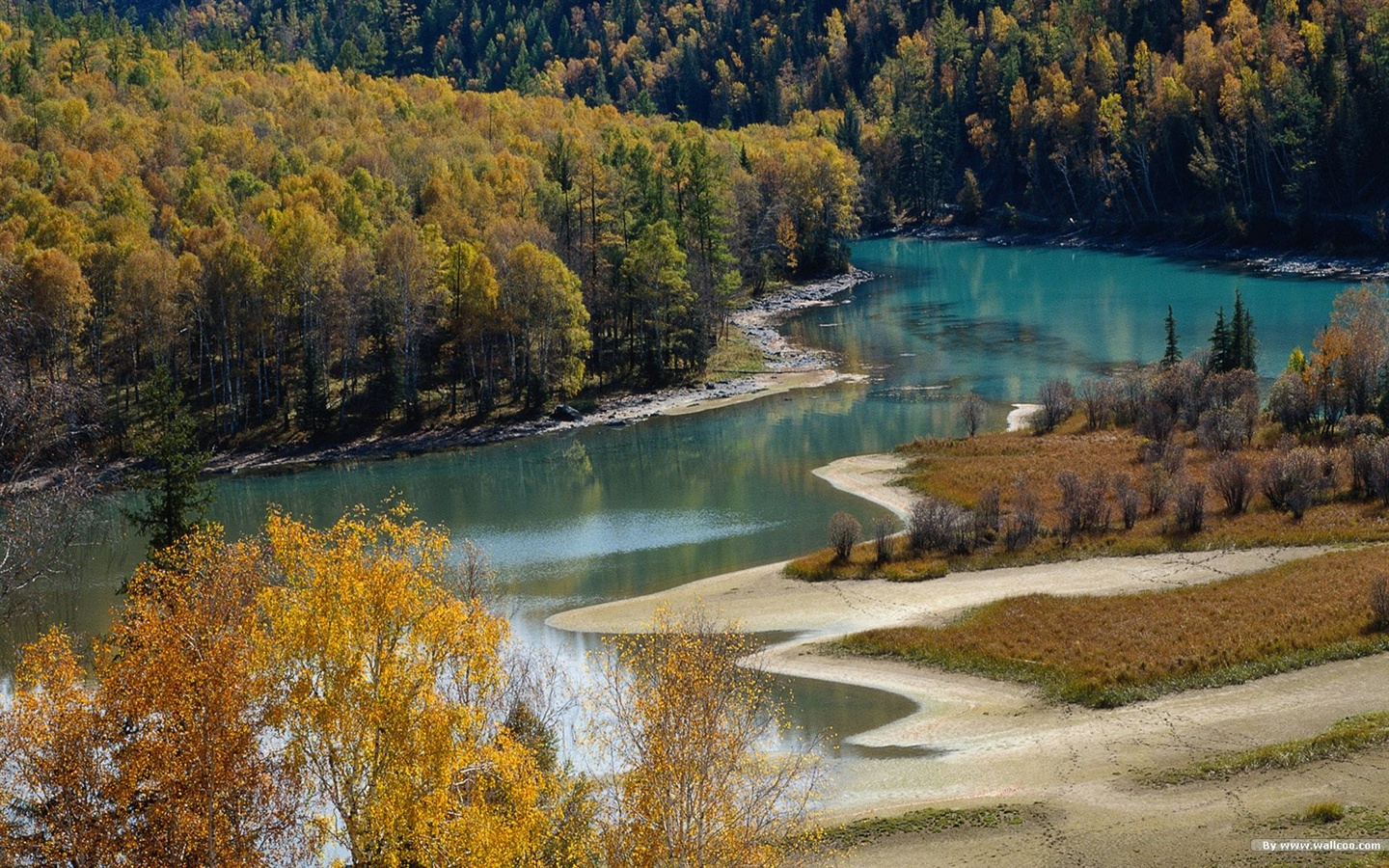 El fondo de pantalla bosque del otoño #43 - 1440x900