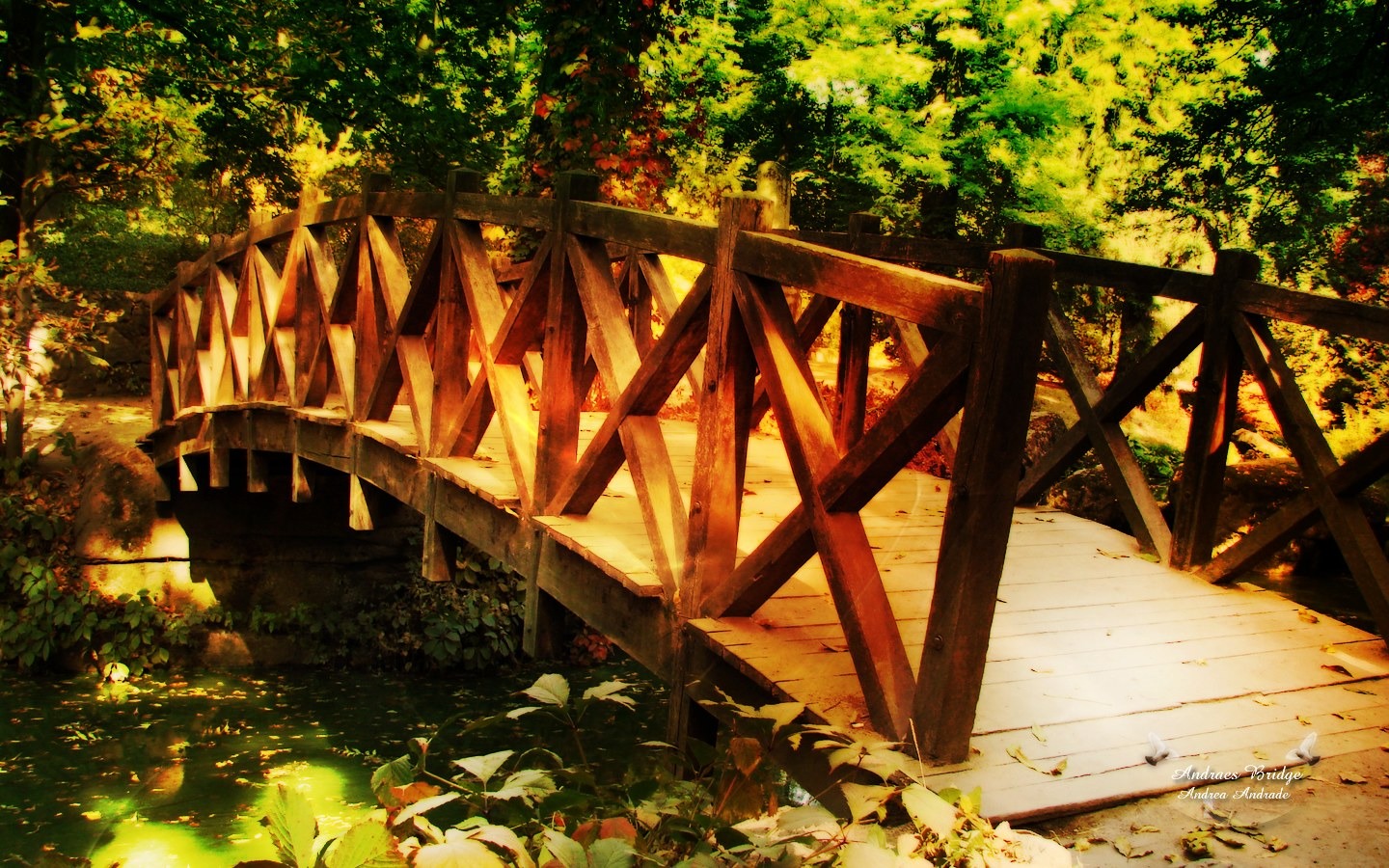PS Widescreen Landscape Wallpapers #3 - 1440x900