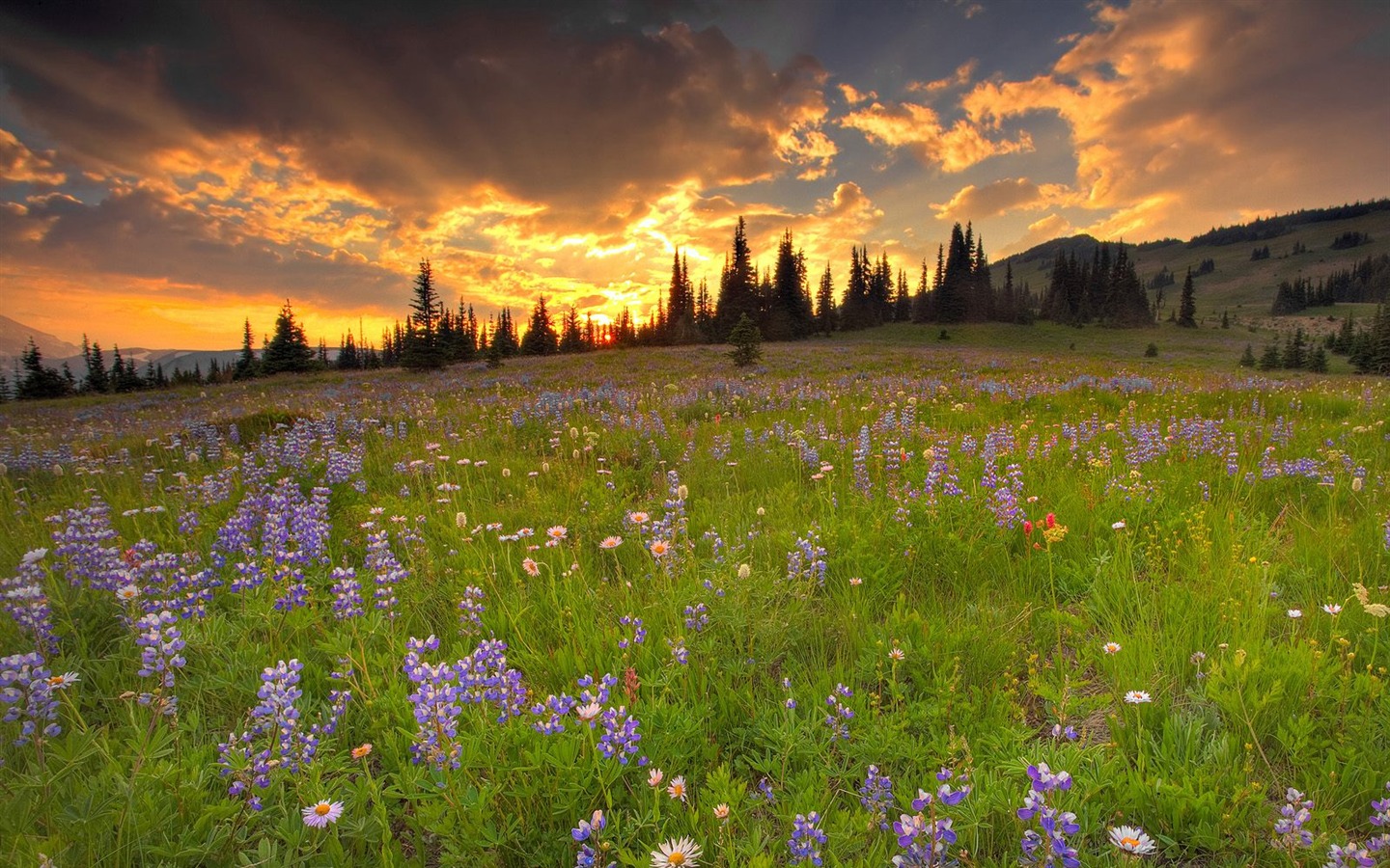 nádherné přírodní scenérie HD Tapety na plochu #30 - 1440x900
