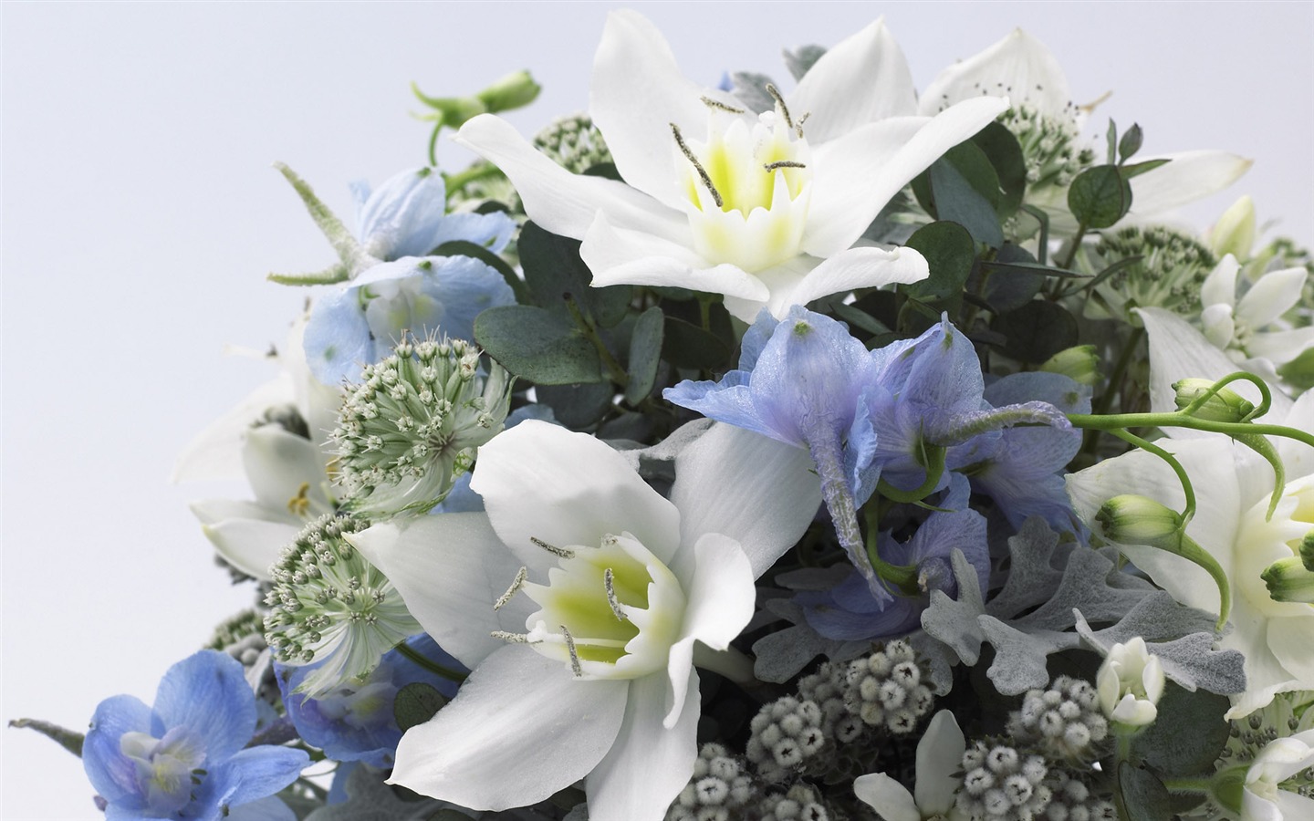 fleurs mariage alliance fond d'écran (1) #9 - 1440x900