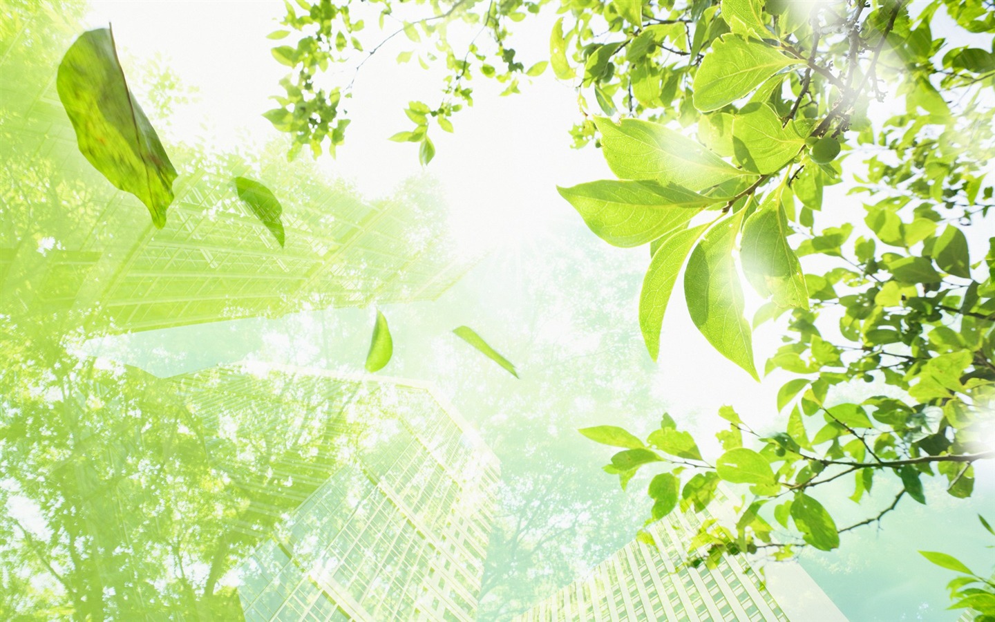 zelená témata životního prostředí PS Wallpaper #7 - 1440x900