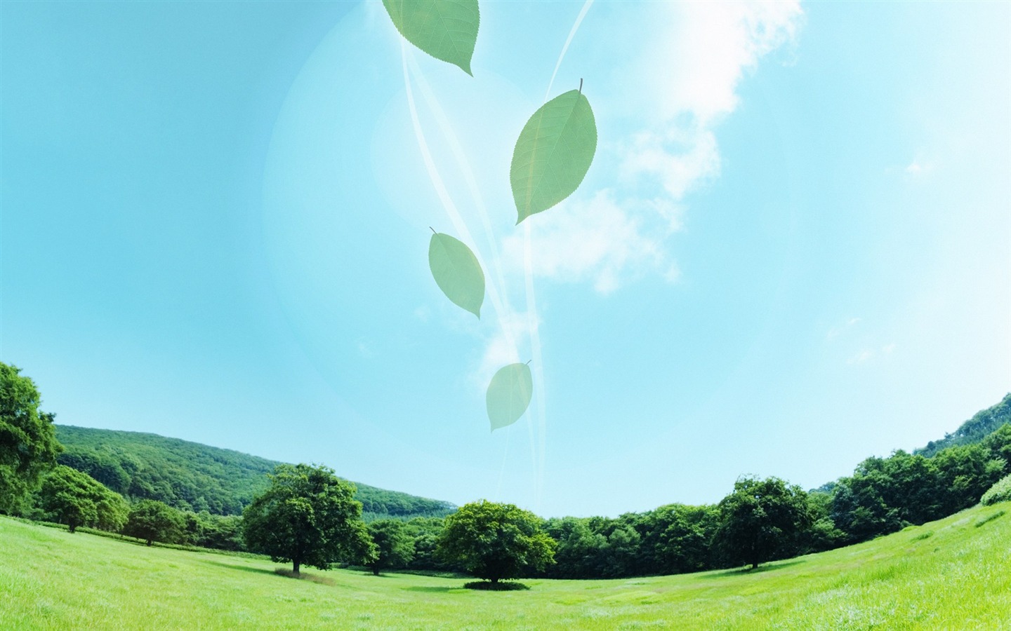 zelená témata životního prostředí PS Wallpaper #19 - 1440x900
