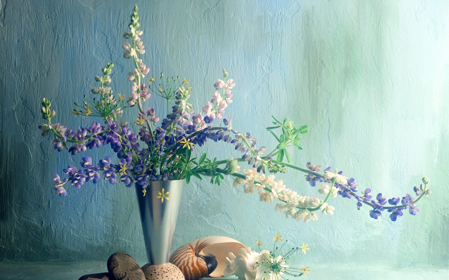 꽃 클로즈업 (5) #4 - 1440x900