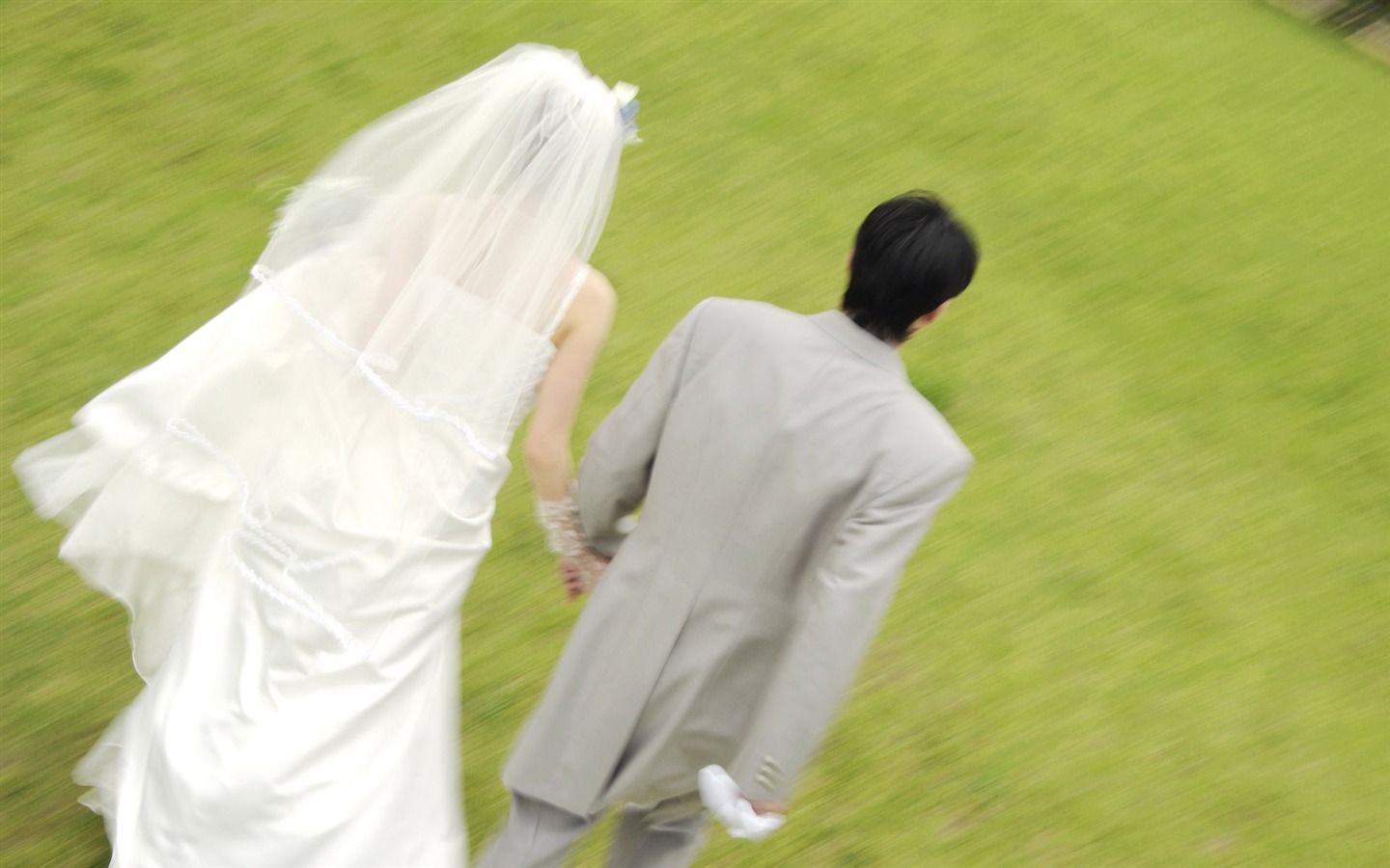 婚禮婚戒鮮花壁紙(二) #6 - 1440x900