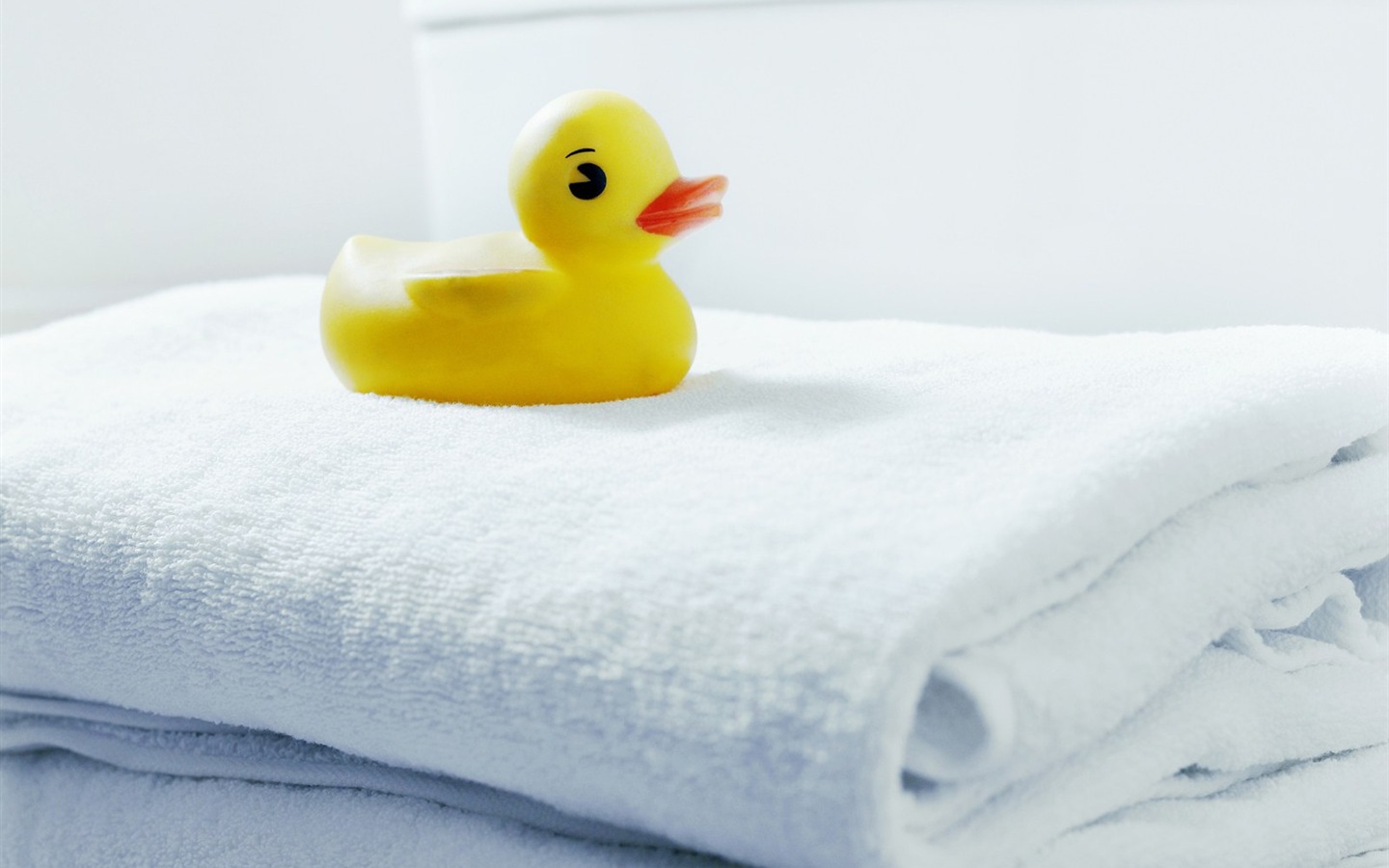 Bathroom decorations Photo Wallpaper #3 - 1440x900