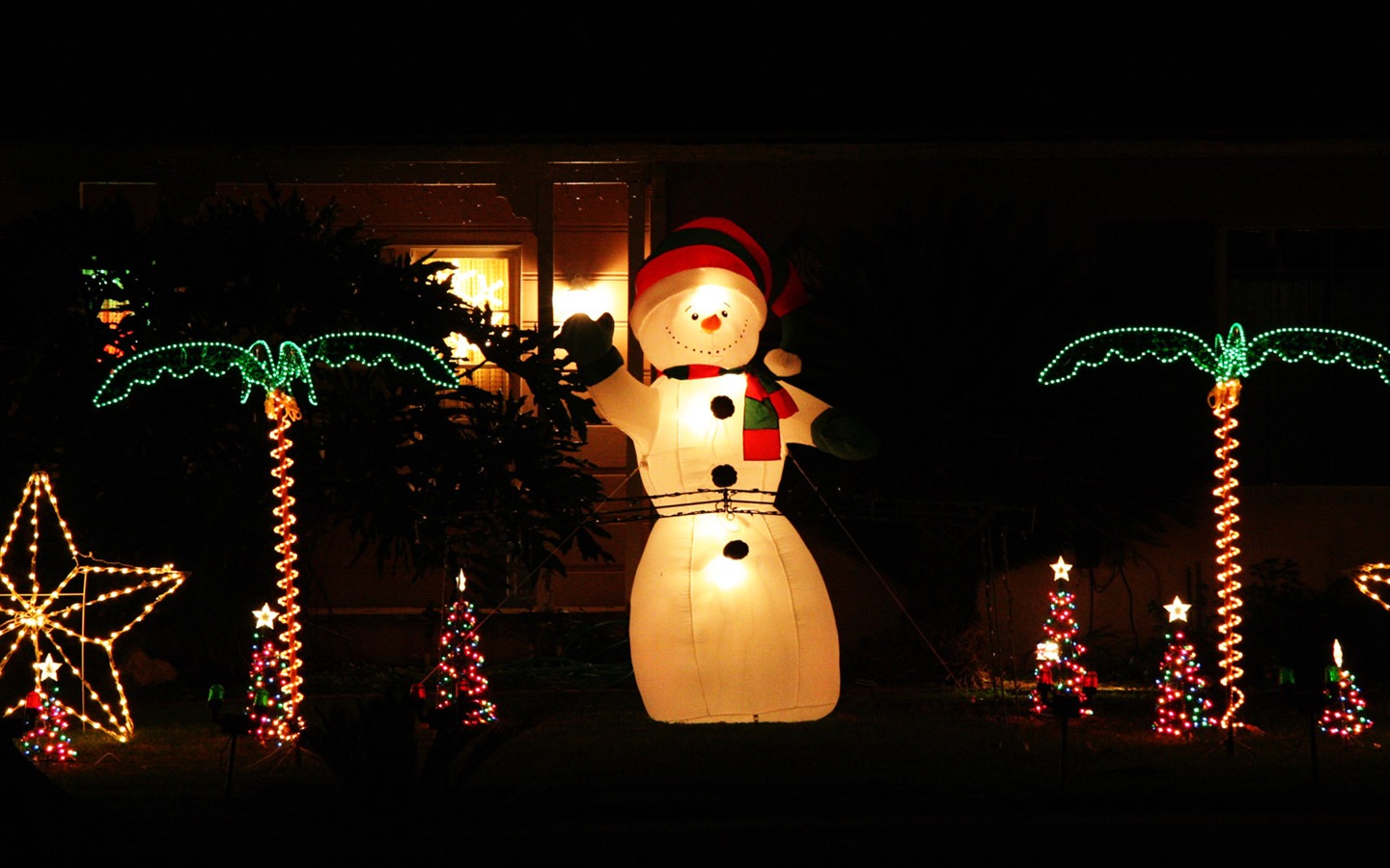 jardinería Navidad fondos de escritorio de la serie (18) #3 - 1440x900