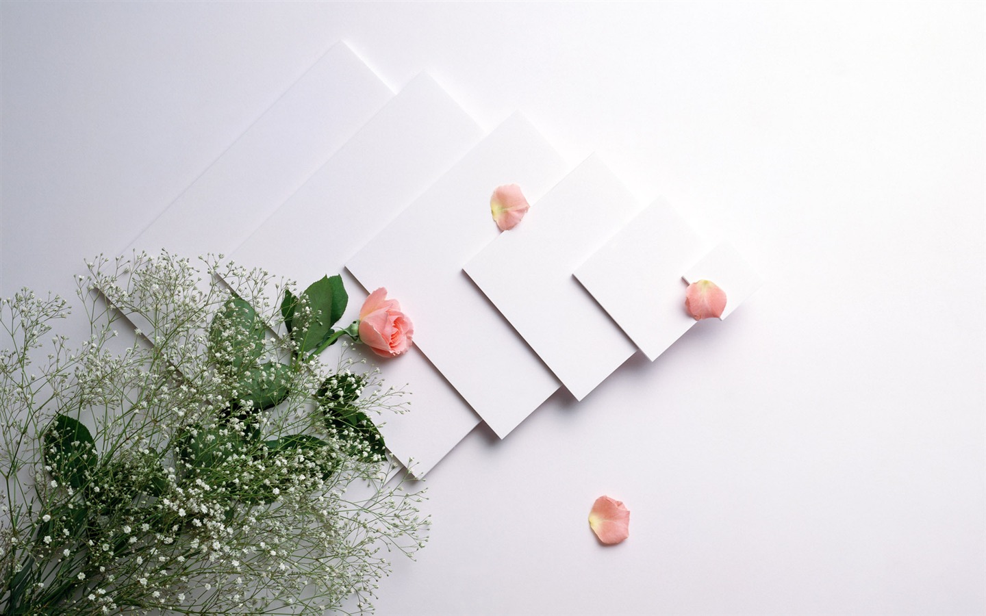 婚慶鮮花物品壁紙(一) #8 - 1440x900