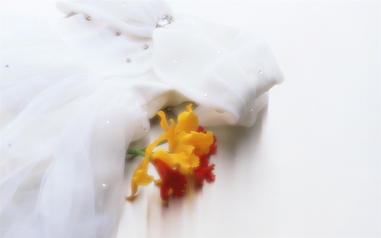 웨딩 꽃 항목 월페이퍼 (1) #13 - 1440x900