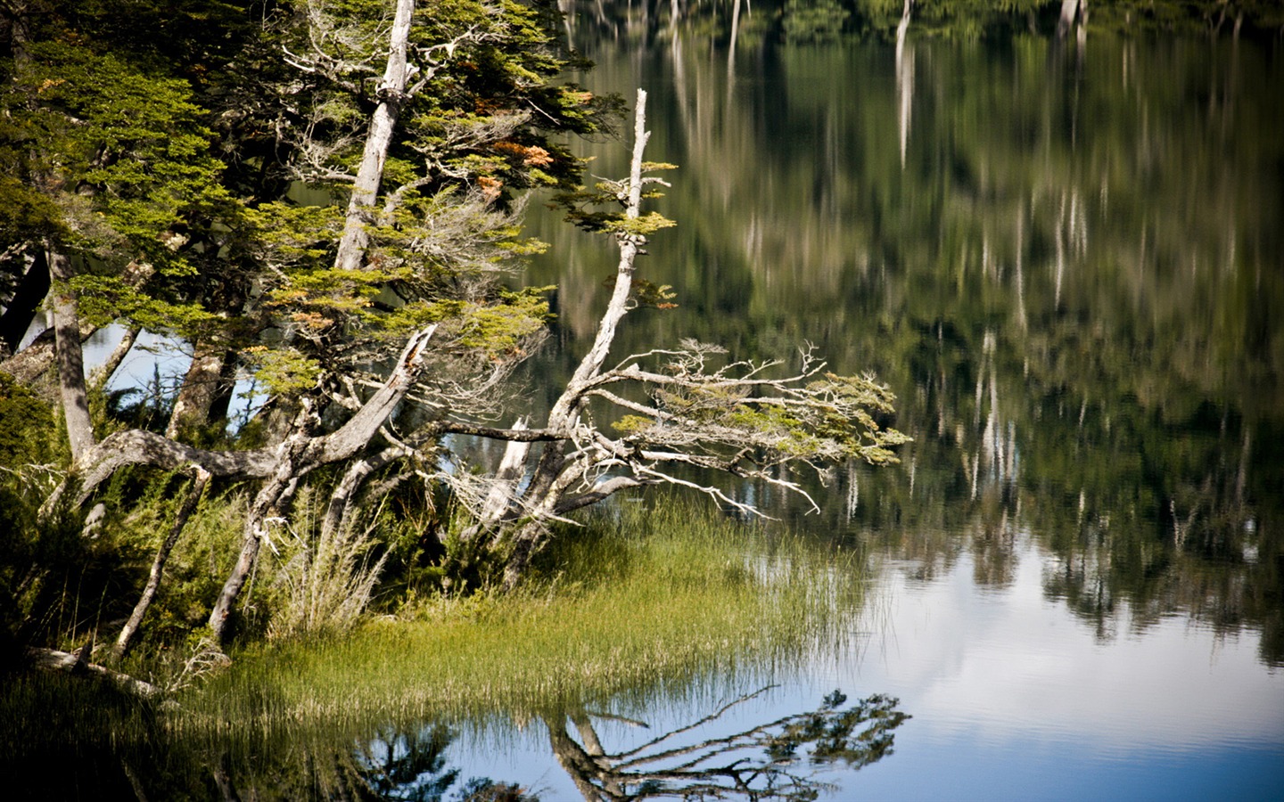 Patagonia Naturkulisse Wallpaper #12 - 1440x900