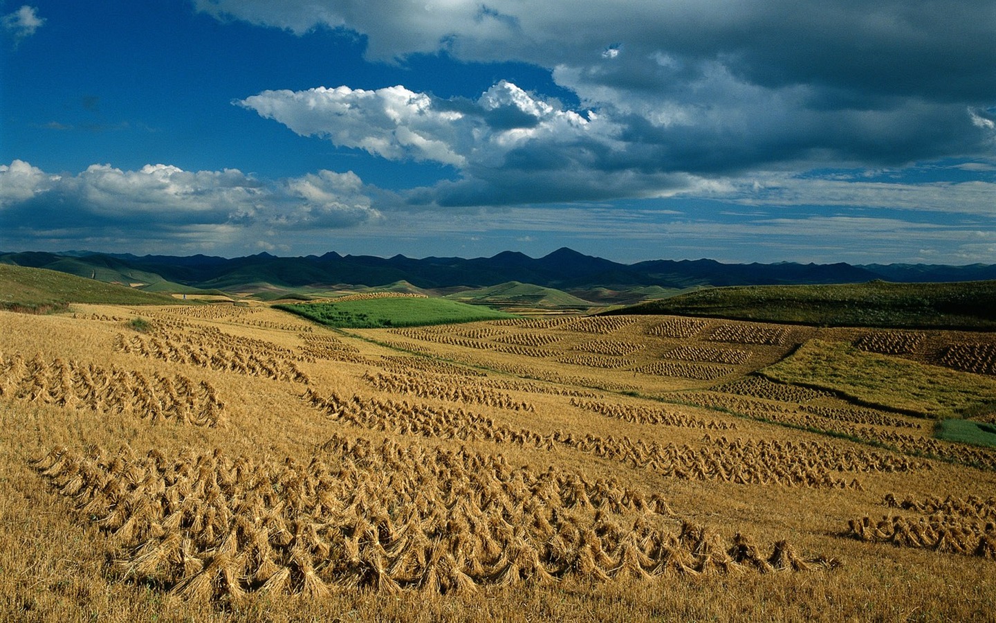 Sky schöne Landschaft Tapeten #5 - 1440x900