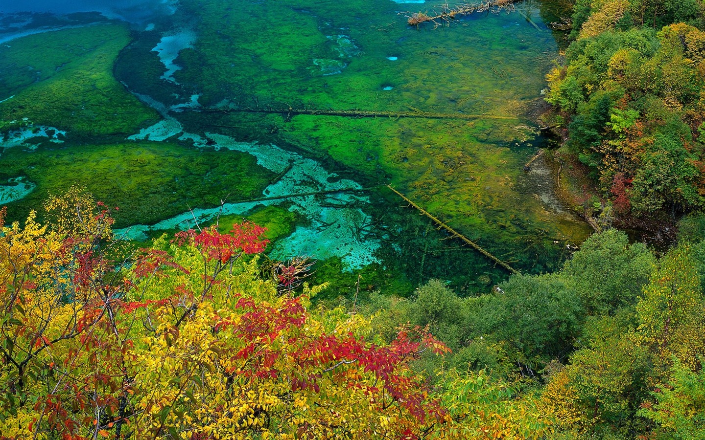 海阔天空 美丽风景壁纸8 - 1440x900