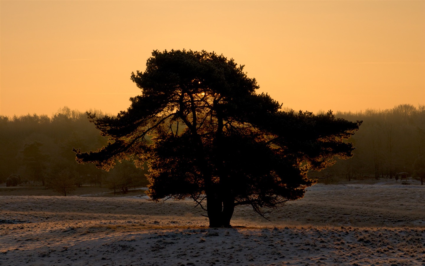 Glow du coucher du soleil HD Wallpaper exquise (1) #36 - 1440x900