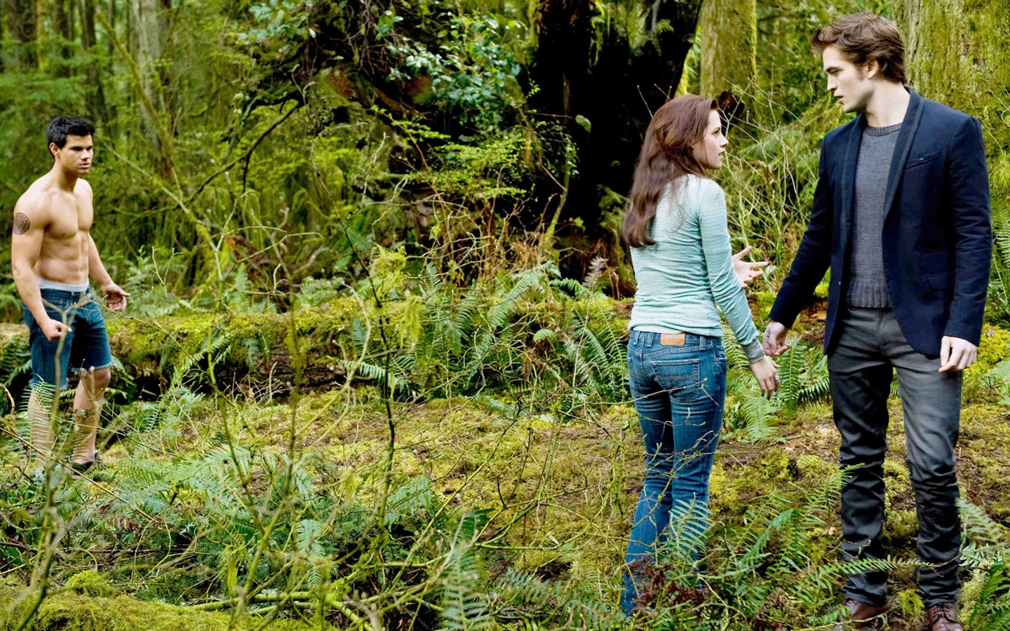 The Twilight Saga: New Moon Wallpaper Album (2) #19 - 1440x900