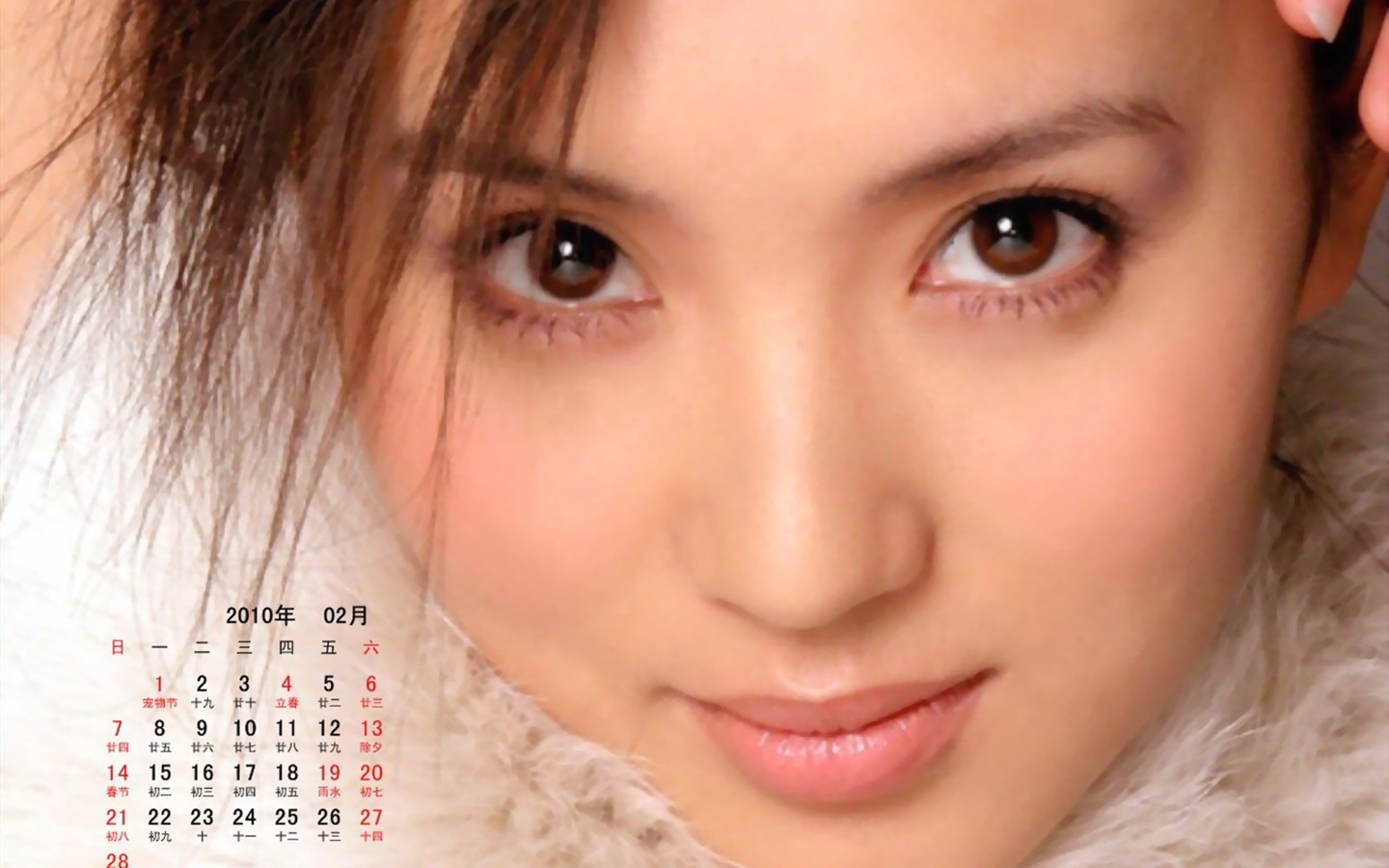 2010年2月明星日曆壁紙 #5 - 1440x900