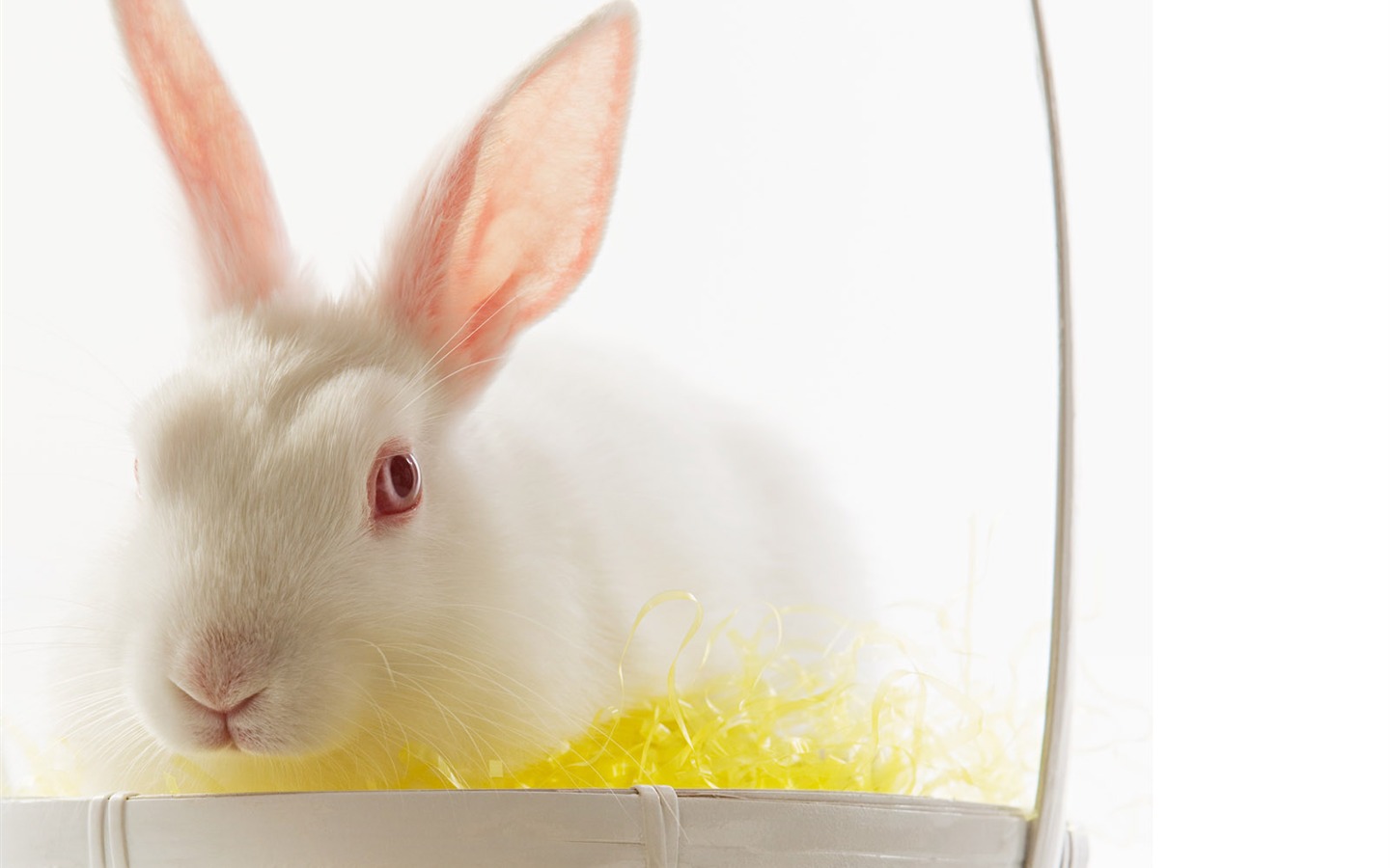 Easter wallpaper album (7) #14 - 1440x900