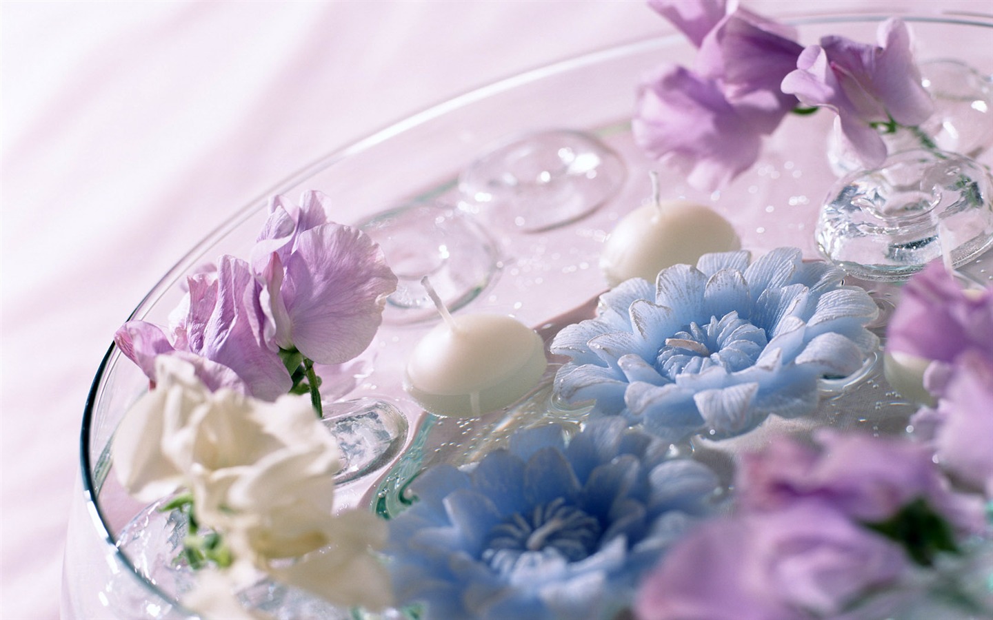 Flowers Widescreen Wallpaper #9 - 1440x900