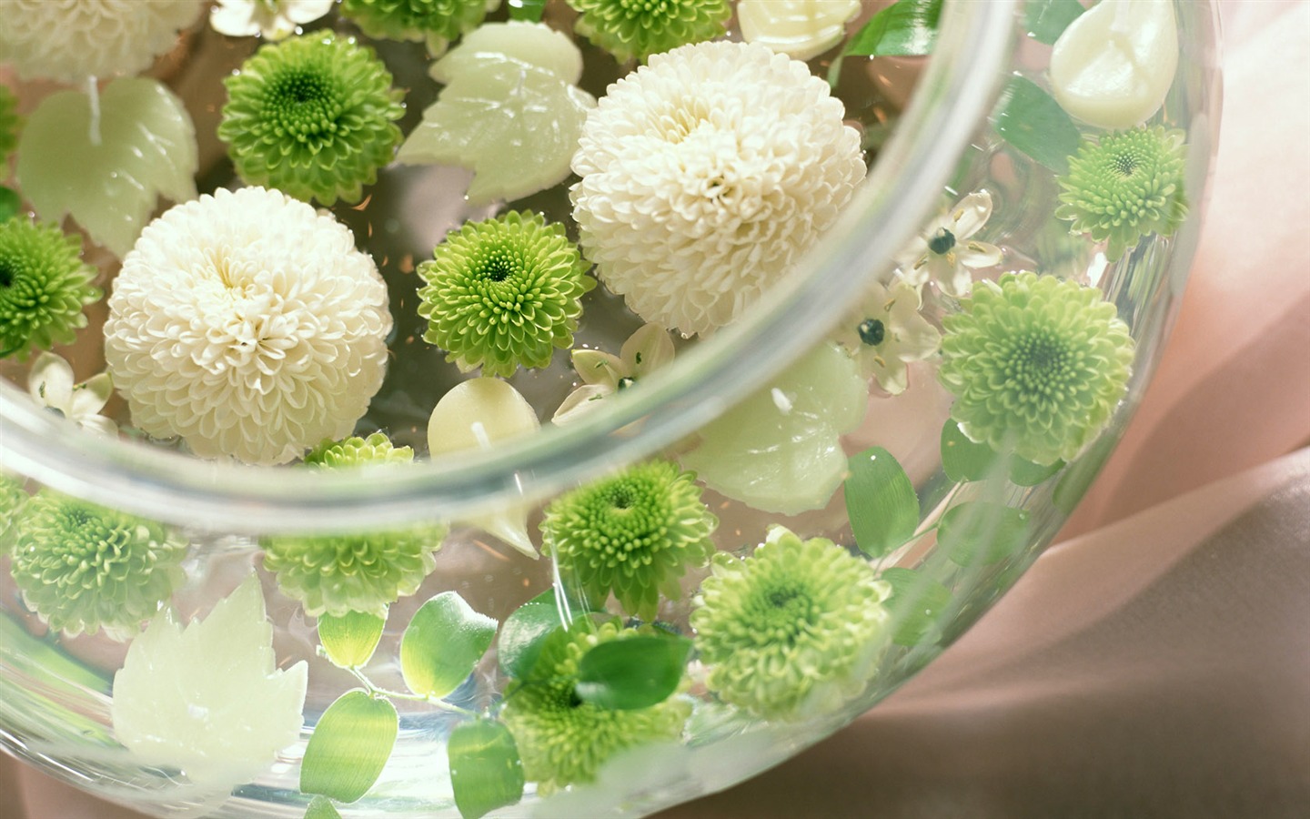 Flowers Widescreen Wallpaper #10 - 1440x900