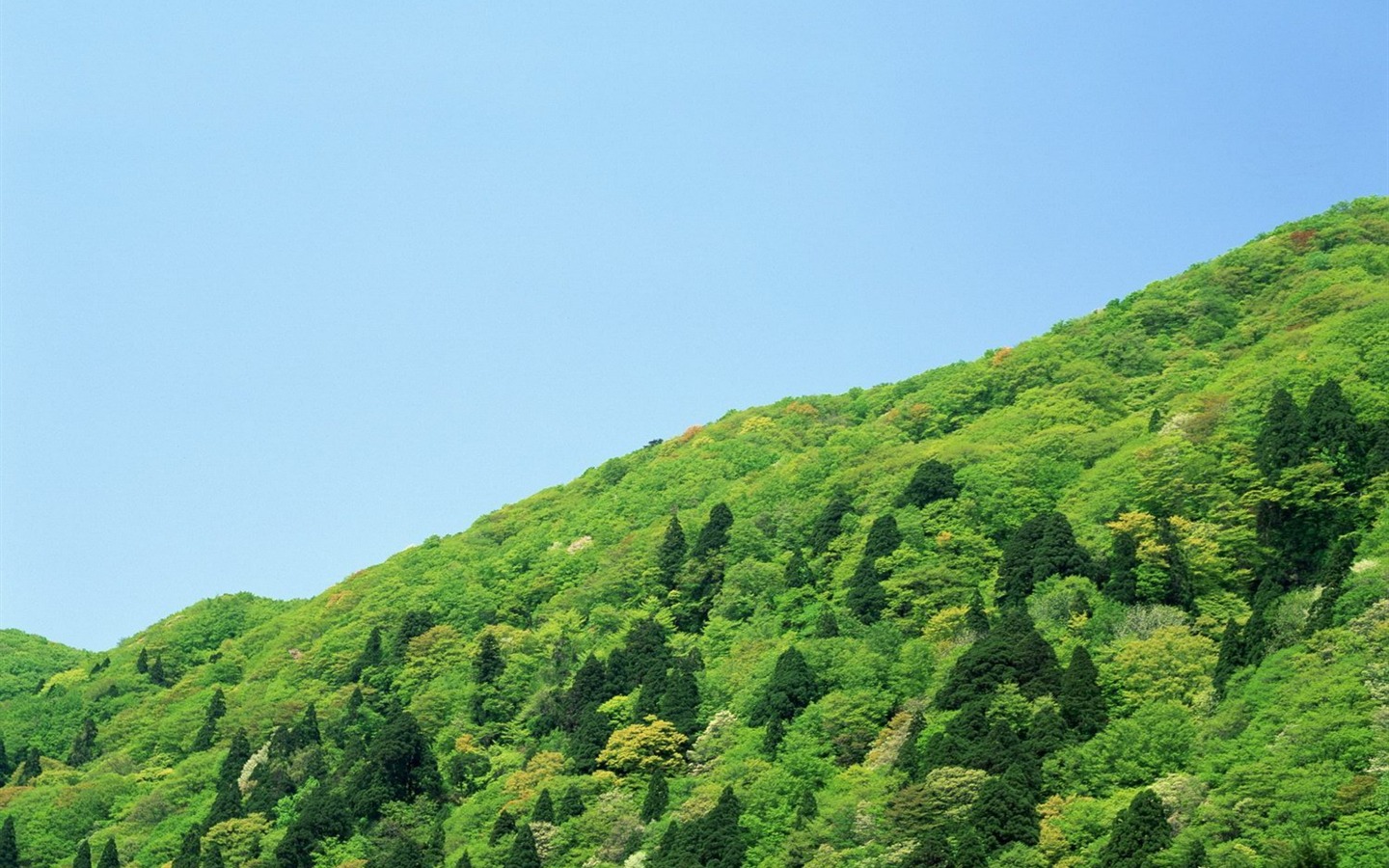 自然風光精選(十) #14 - 1440x900