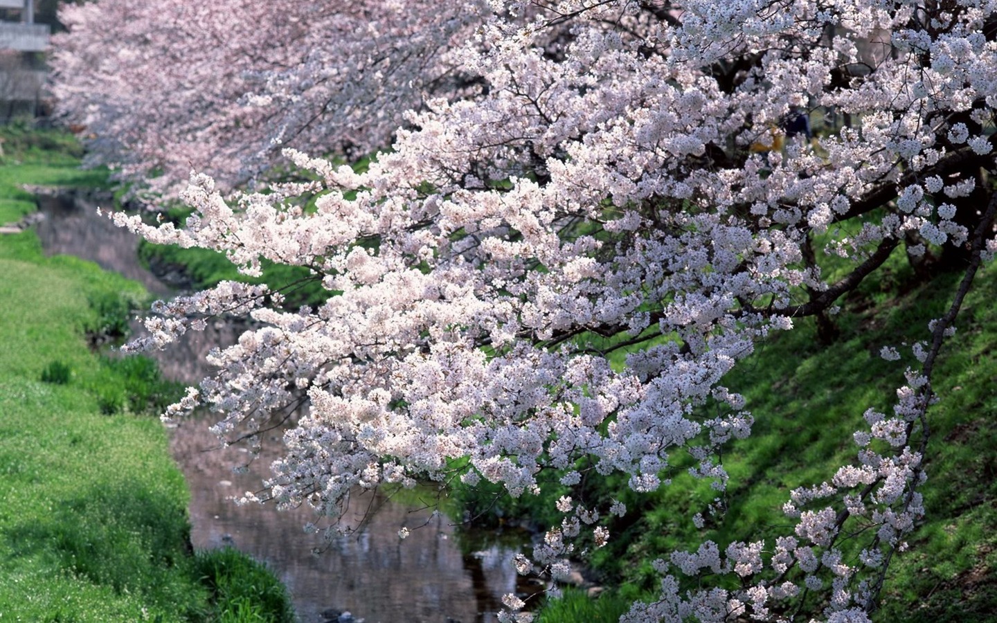 自然風光精選(十) #31 - 1440x900