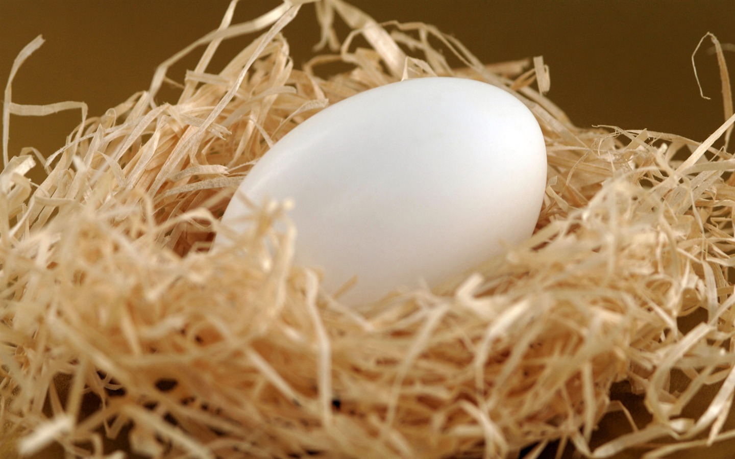 Huevo de Pascua fondo de pantalla (1) #1 - 1440x900