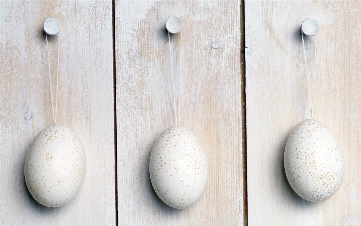 Huevo de Pascua fondo de pantalla (1) #3 - 1440x900