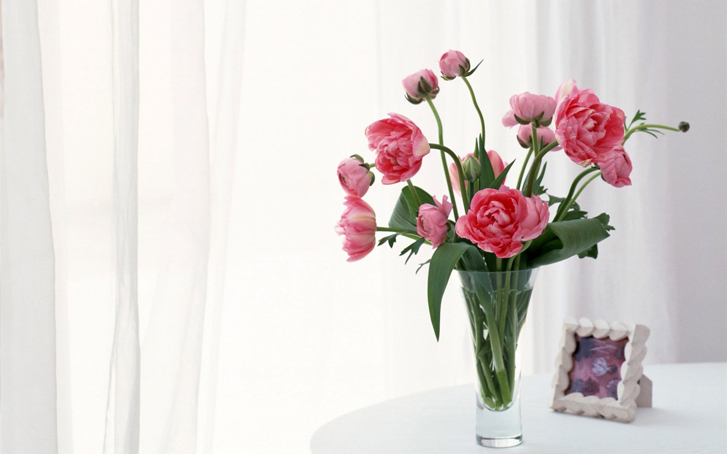 Room Flower photo wallpapers #16 - 1440x900