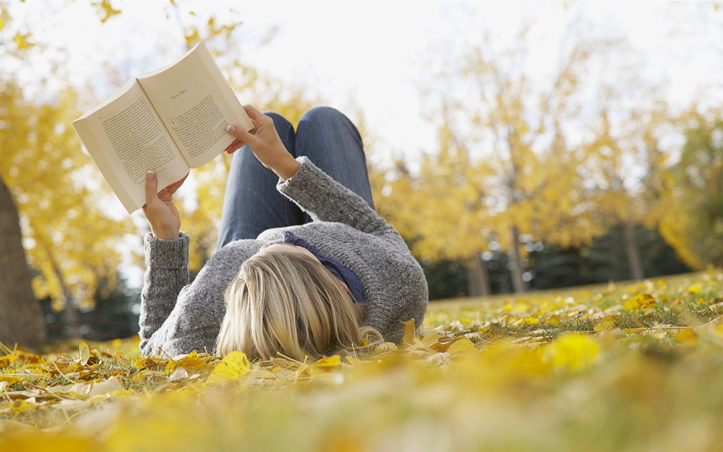 Leisure Life Wallpaper (3) #14 - 1440x900