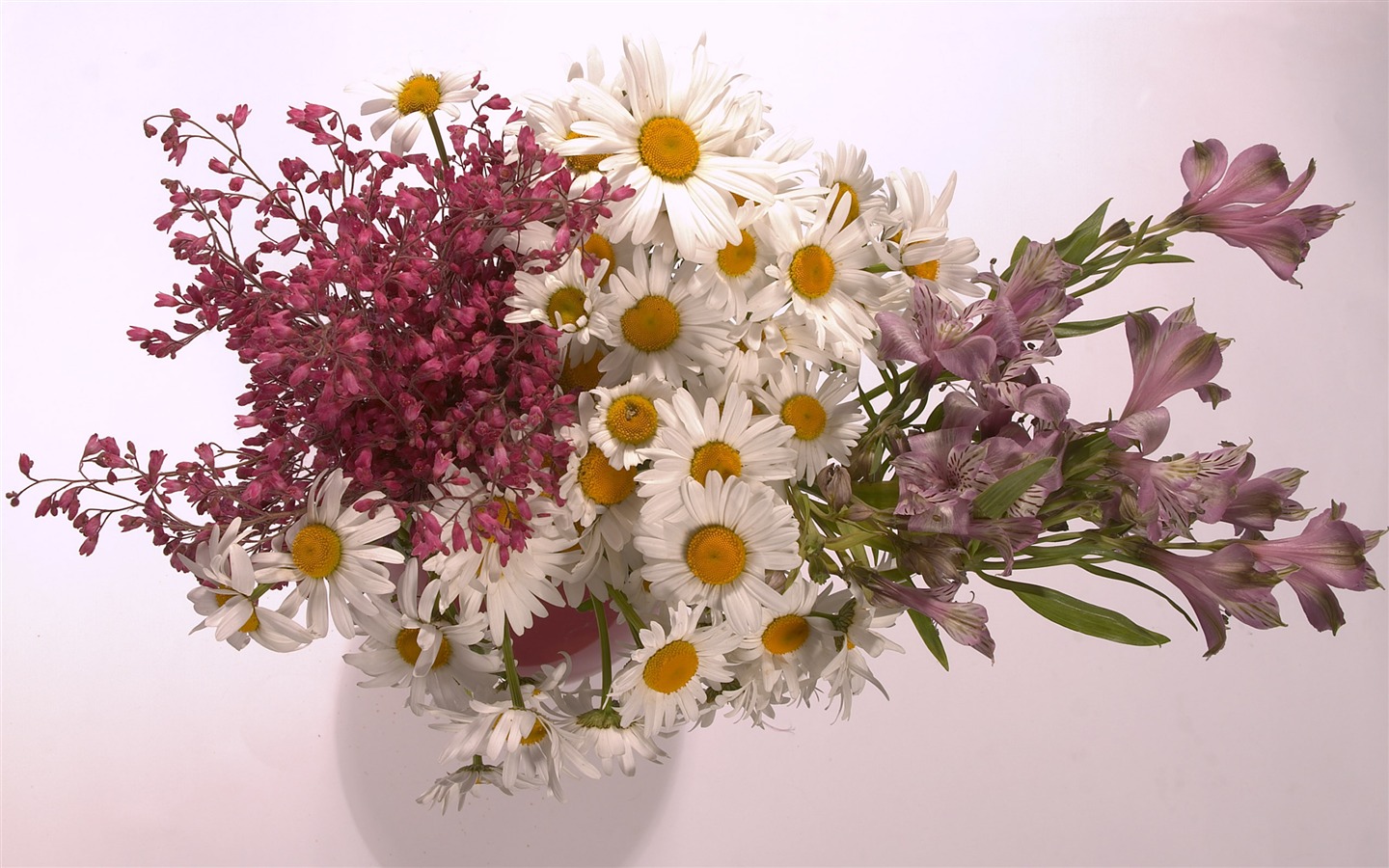 대형 꽃 기능 월페이퍼 (3) #15 - 1440x900