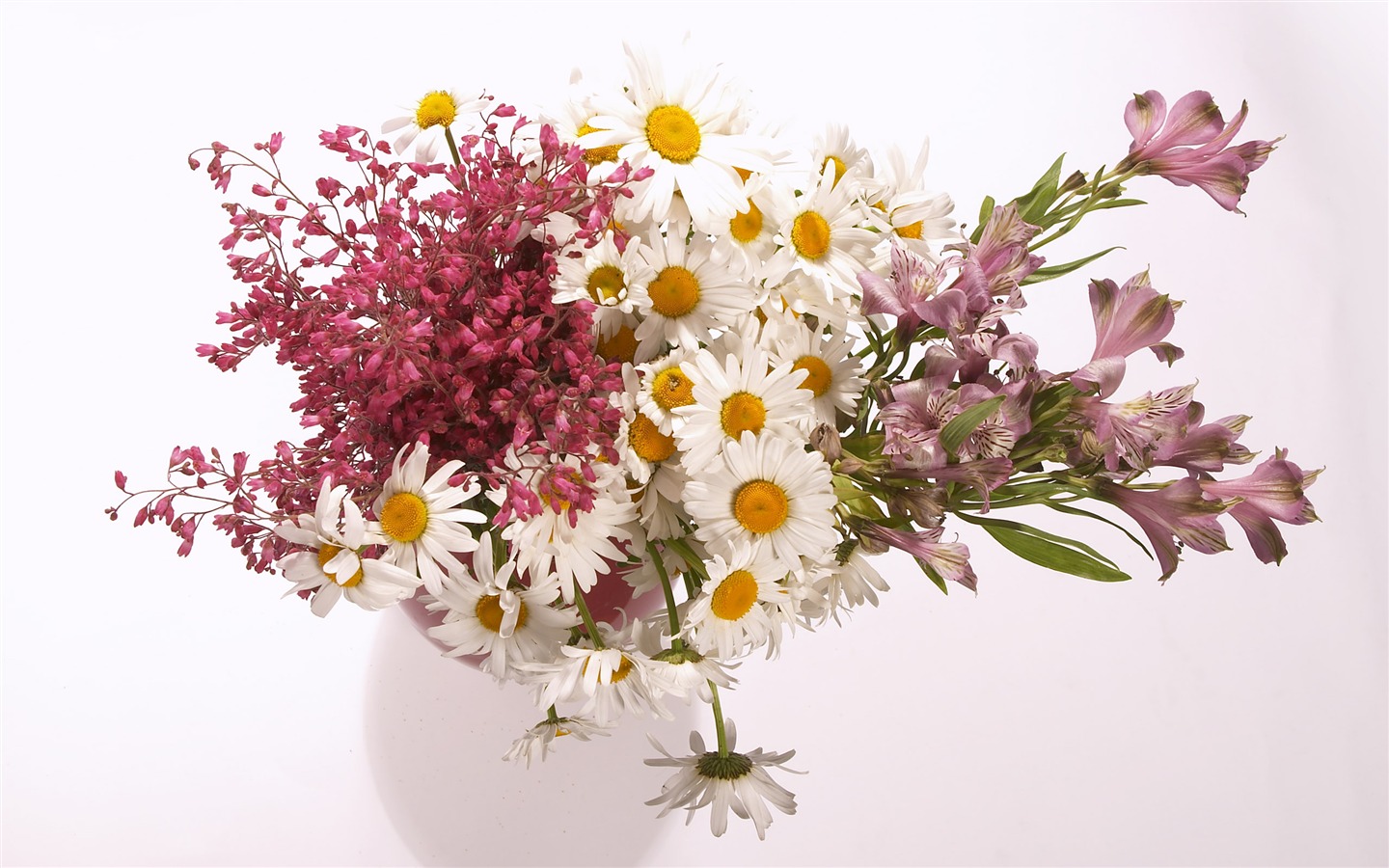 대형 꽃 기능 바탕 화면 (6) #18 - 1440x900