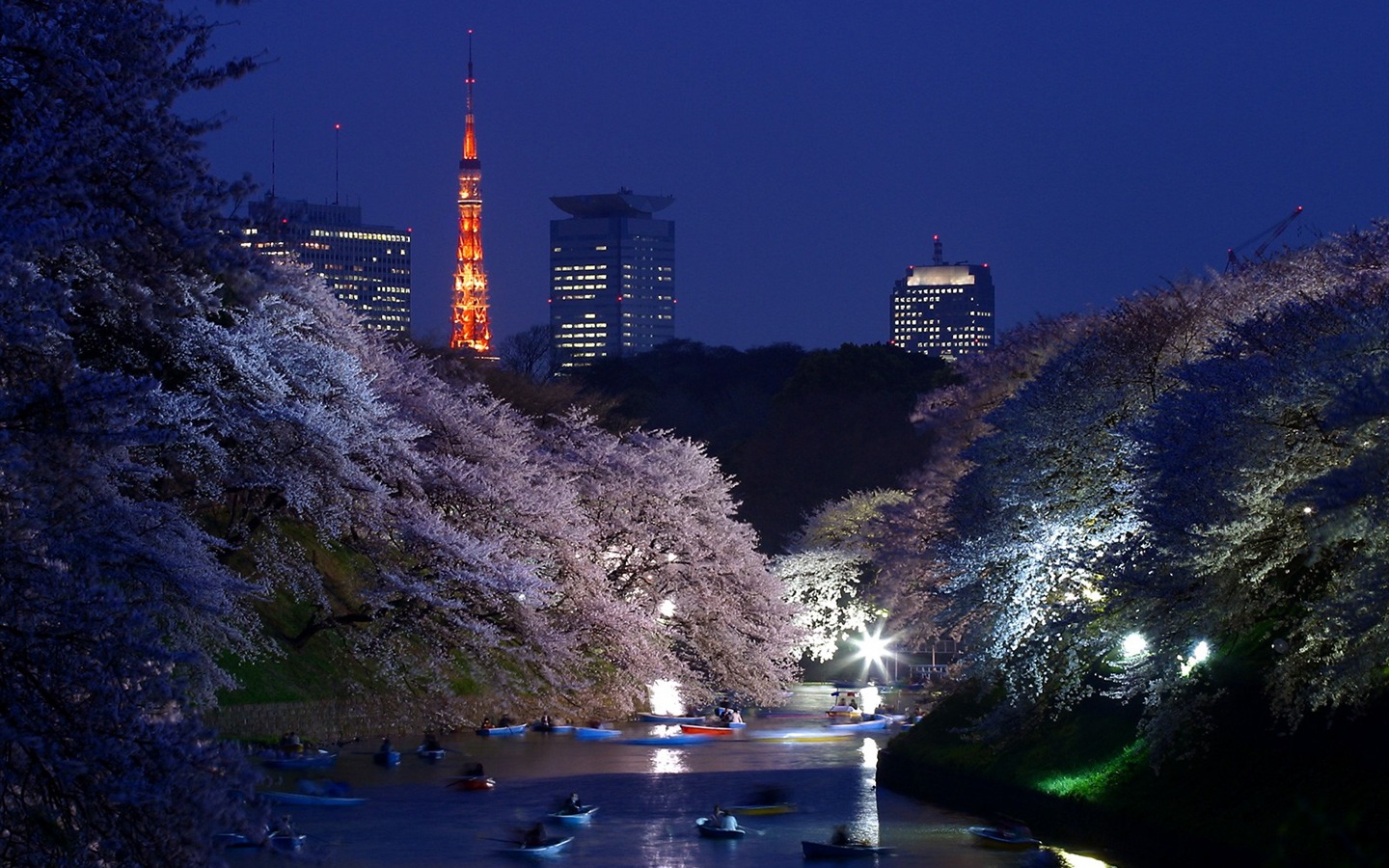 都市夜景壁紙 #17 - 1440x900