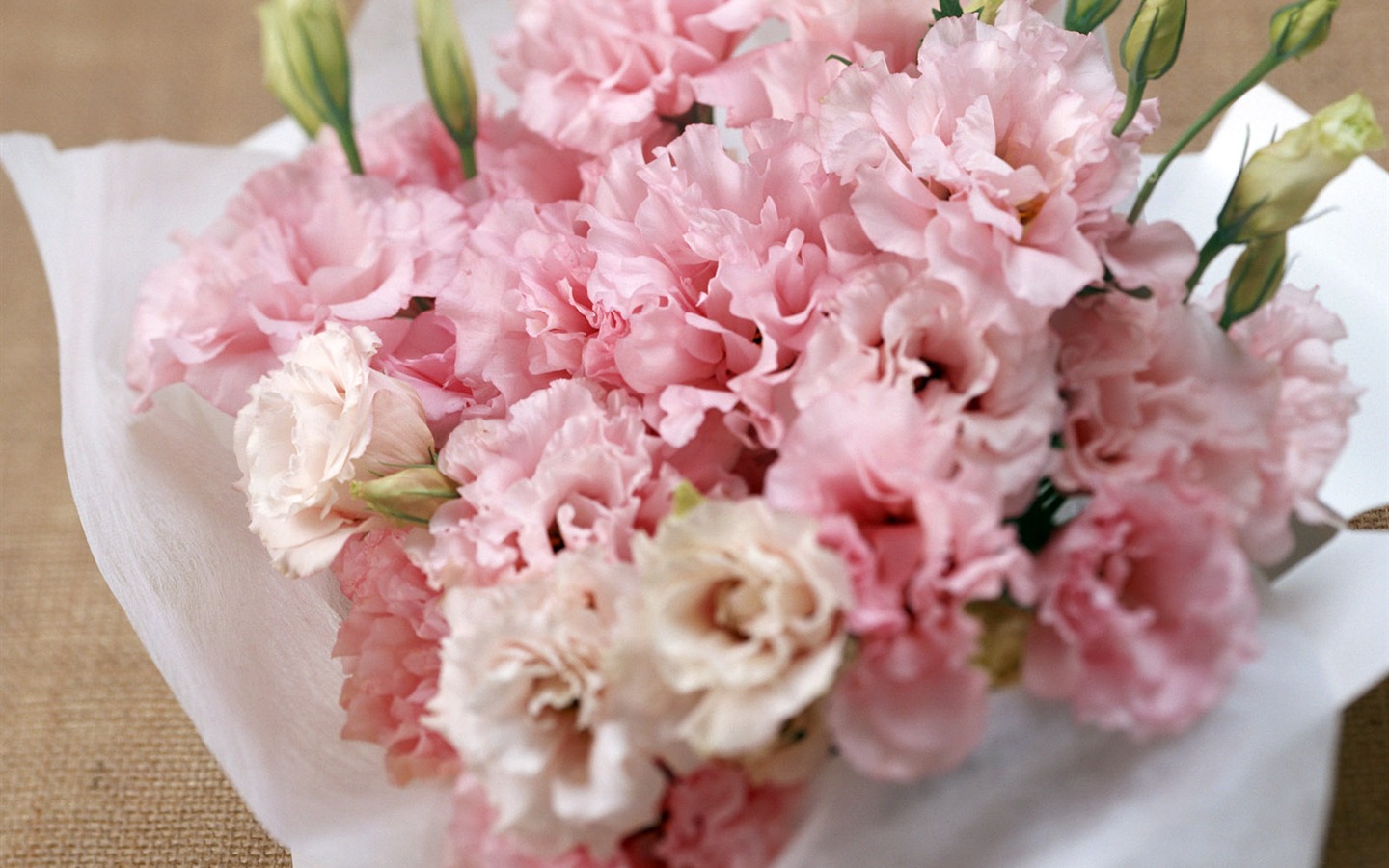 Flowers and gifts wallpaper (1) #6 - 1440x900