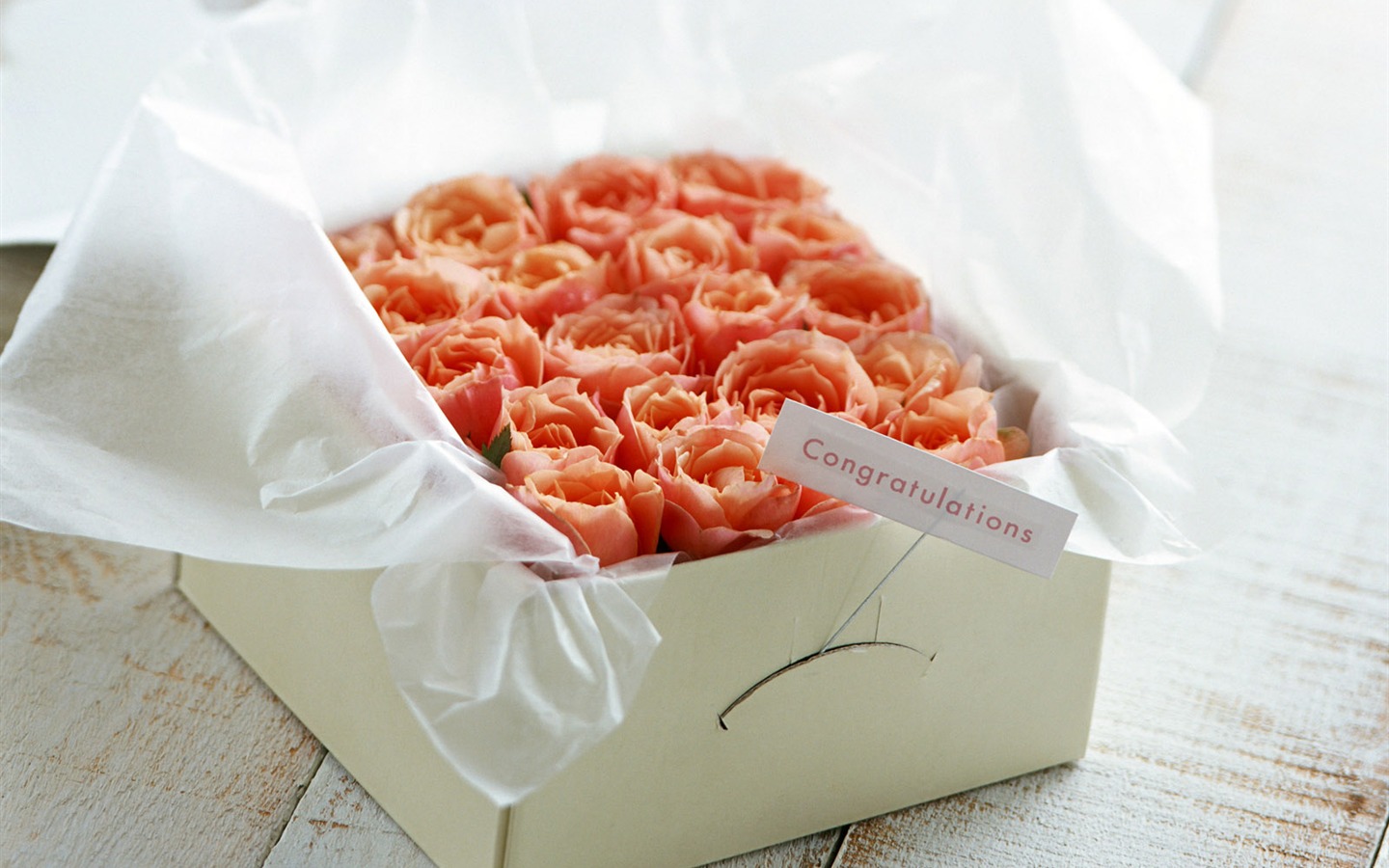 Flowers and gifts wallpaper (1) #11 - 1440x900