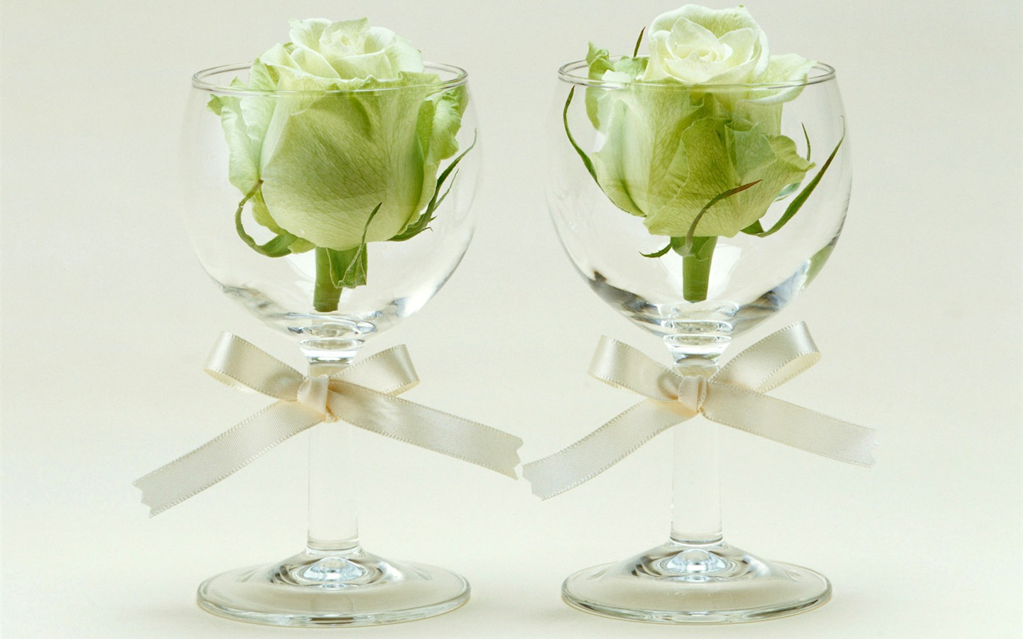 Flowers and gifts wallpaper (1) #15 - 1440x900