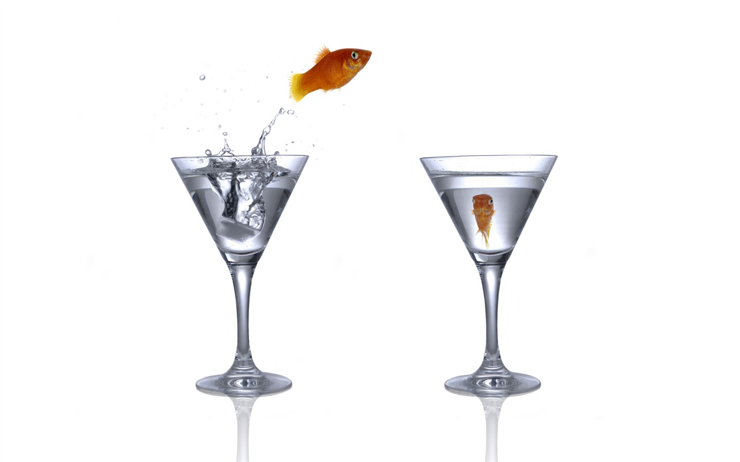 Jumping goldfish wallpaper #4 - 1440x900