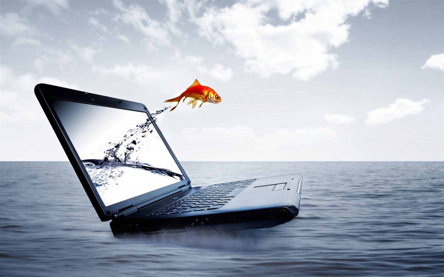 Jumping goldfish wallpaper #12 - 1440x900
